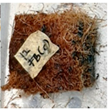 Polymers 13 03494 i021