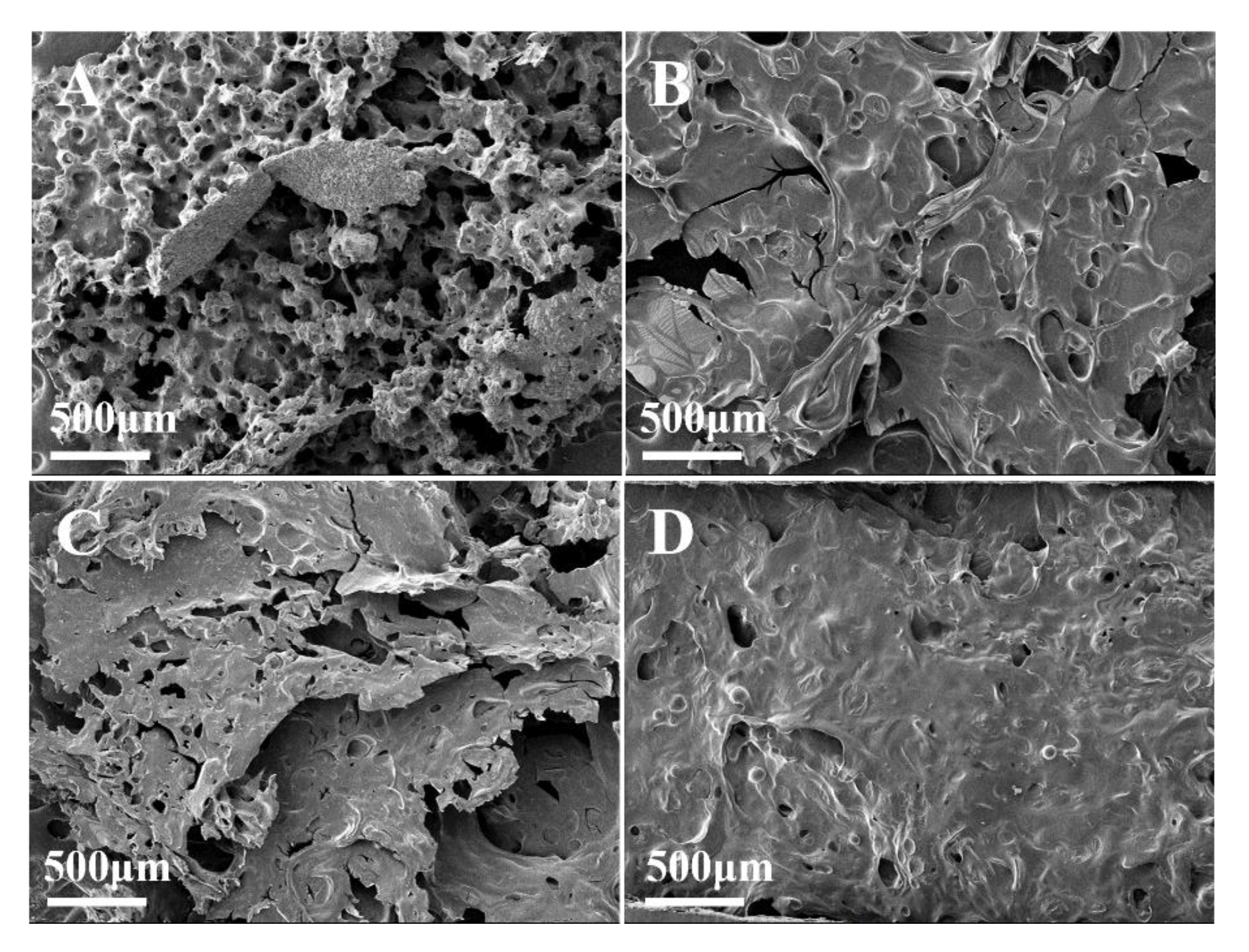 Polymers 13 03496 g011