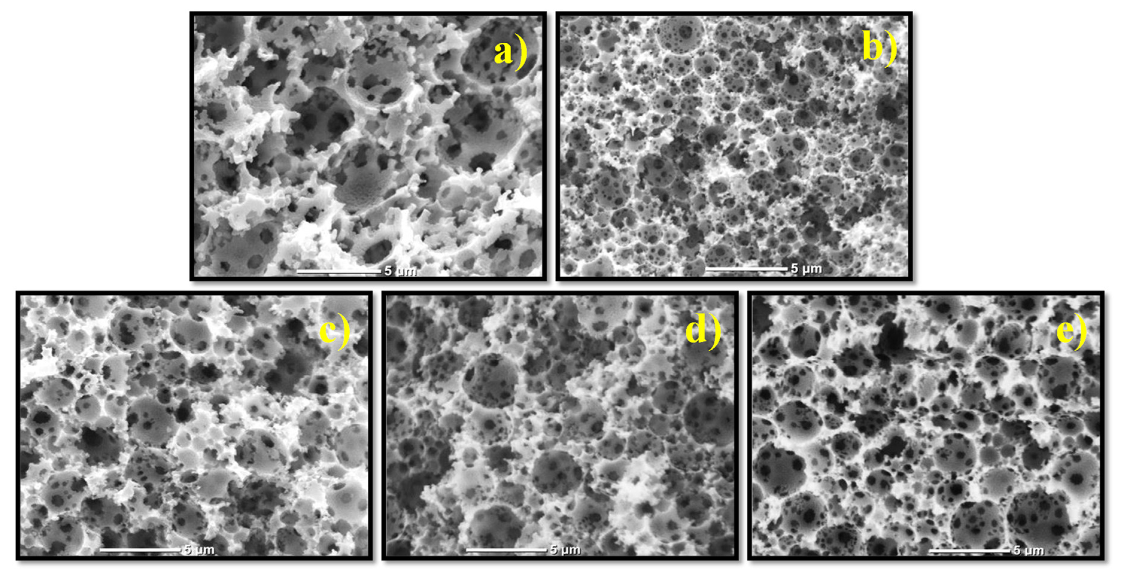 Polymers 13 03497 g007
