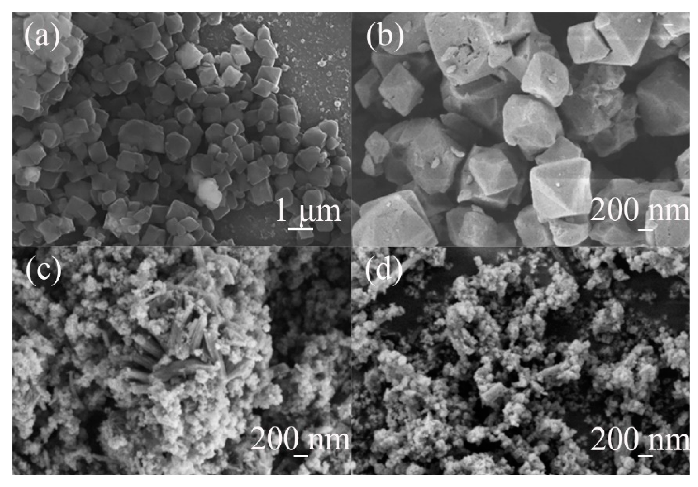 Polymers 13 03498 g002
