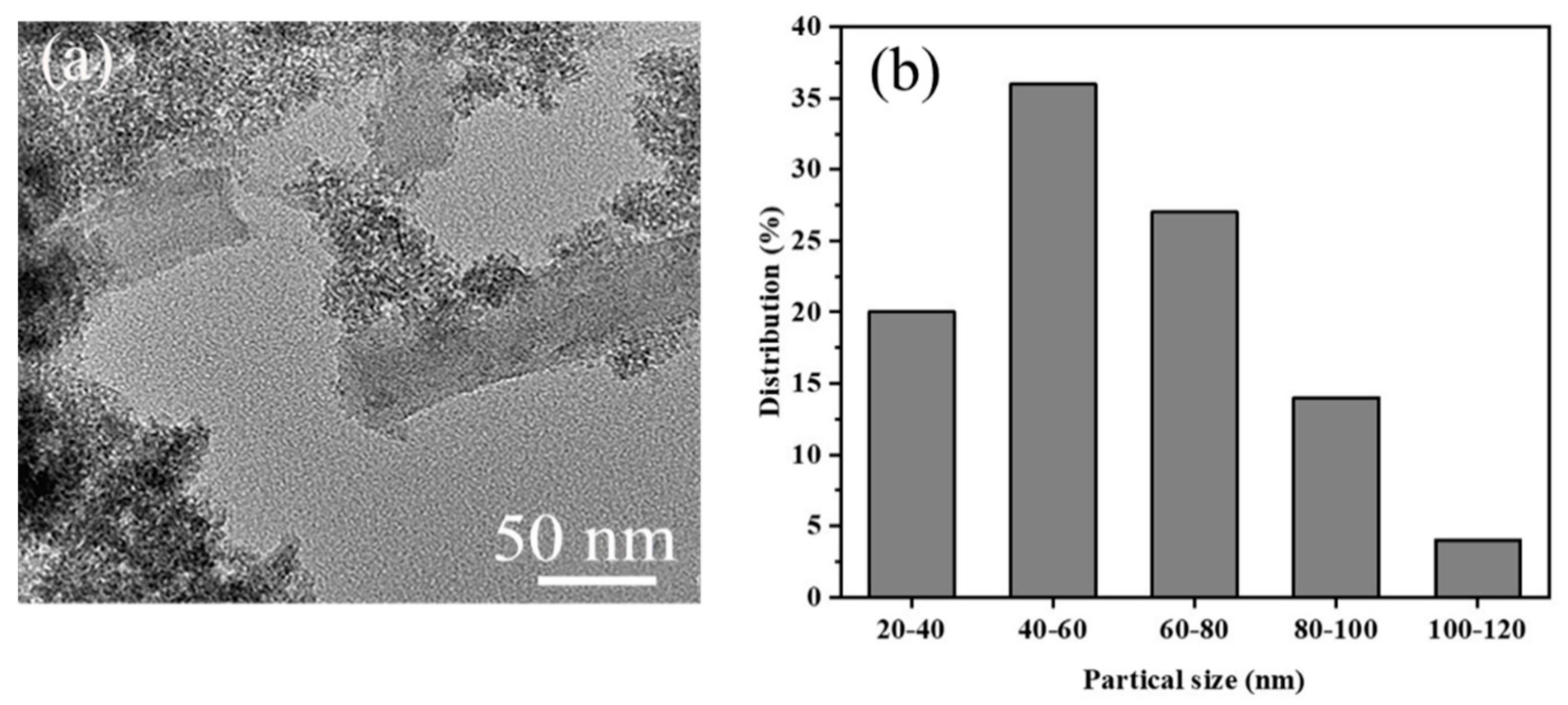 Polymers 13 03498 g004