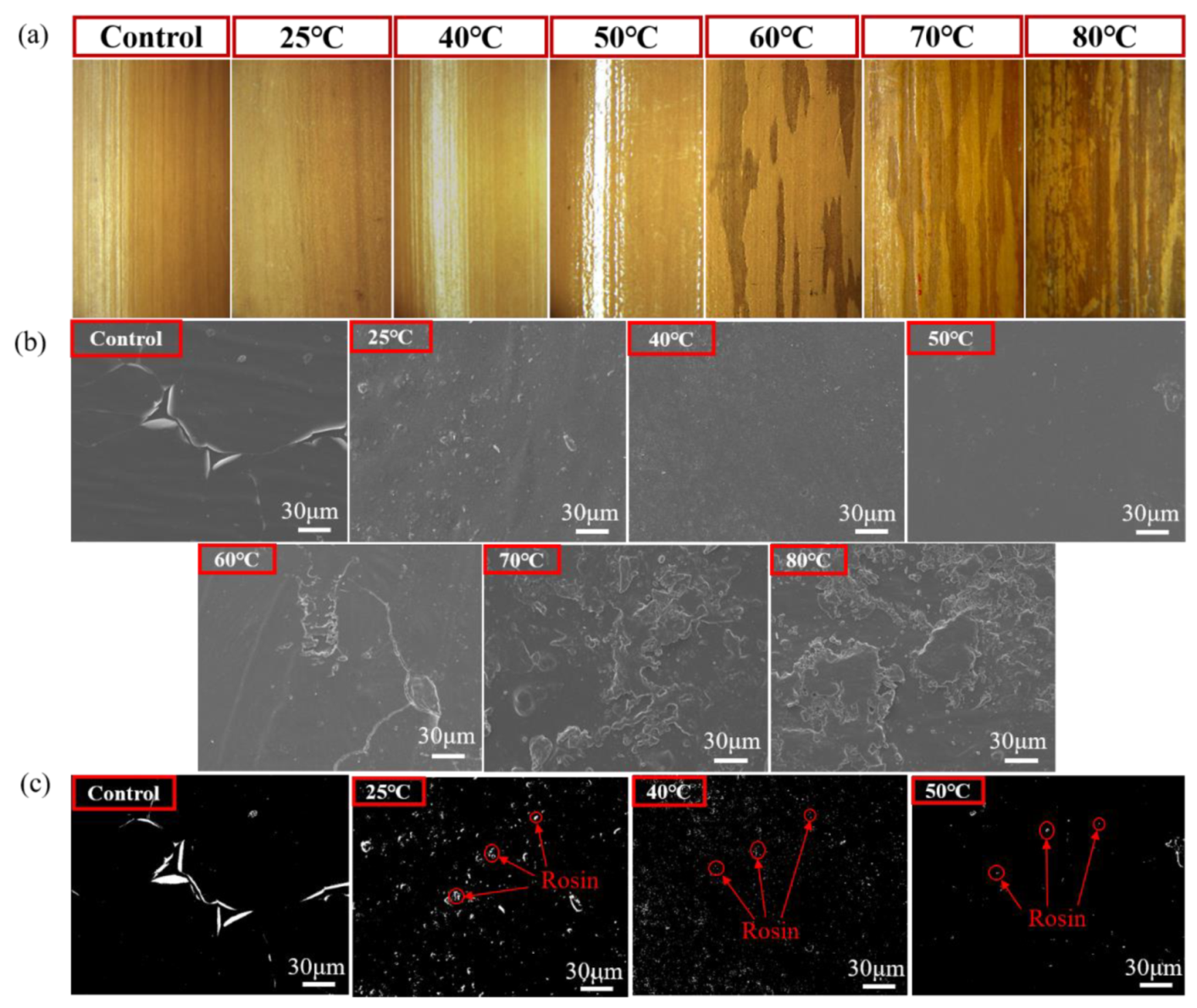 Polymers 13 03500 g004