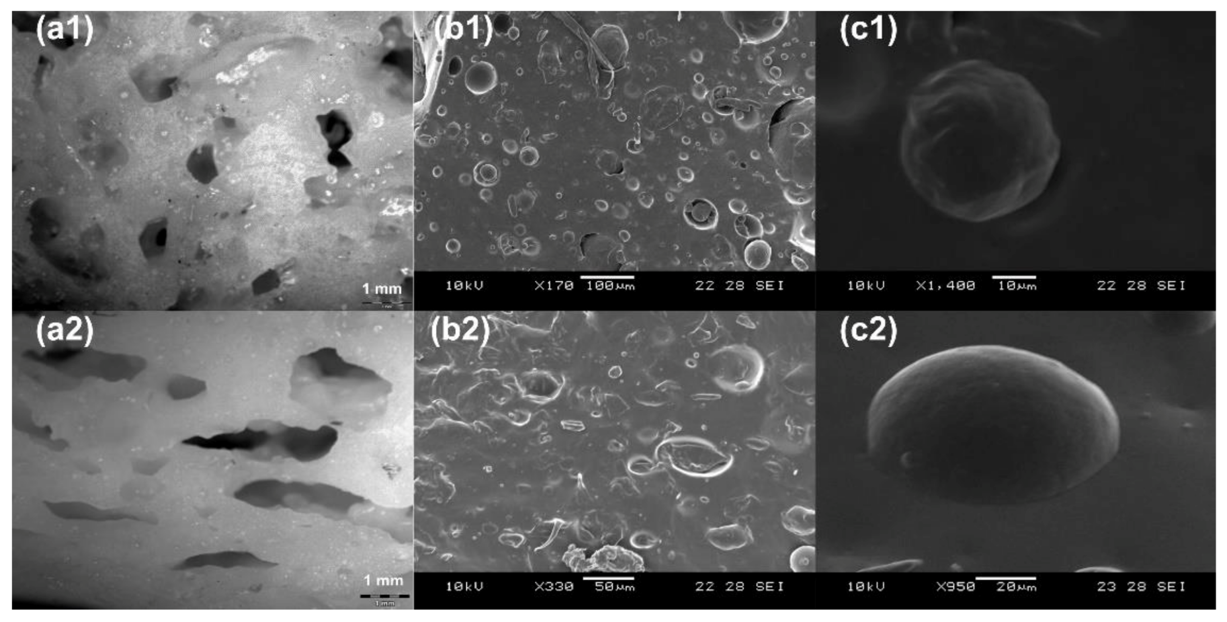 Polymers 13 03501 g004 550