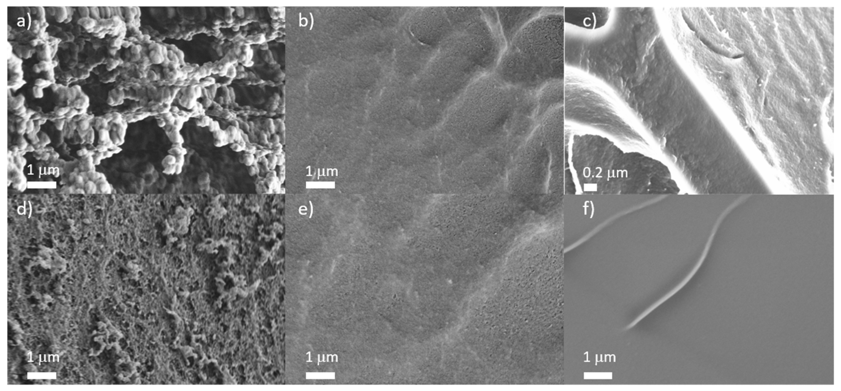 Polymers 13 03506 g007