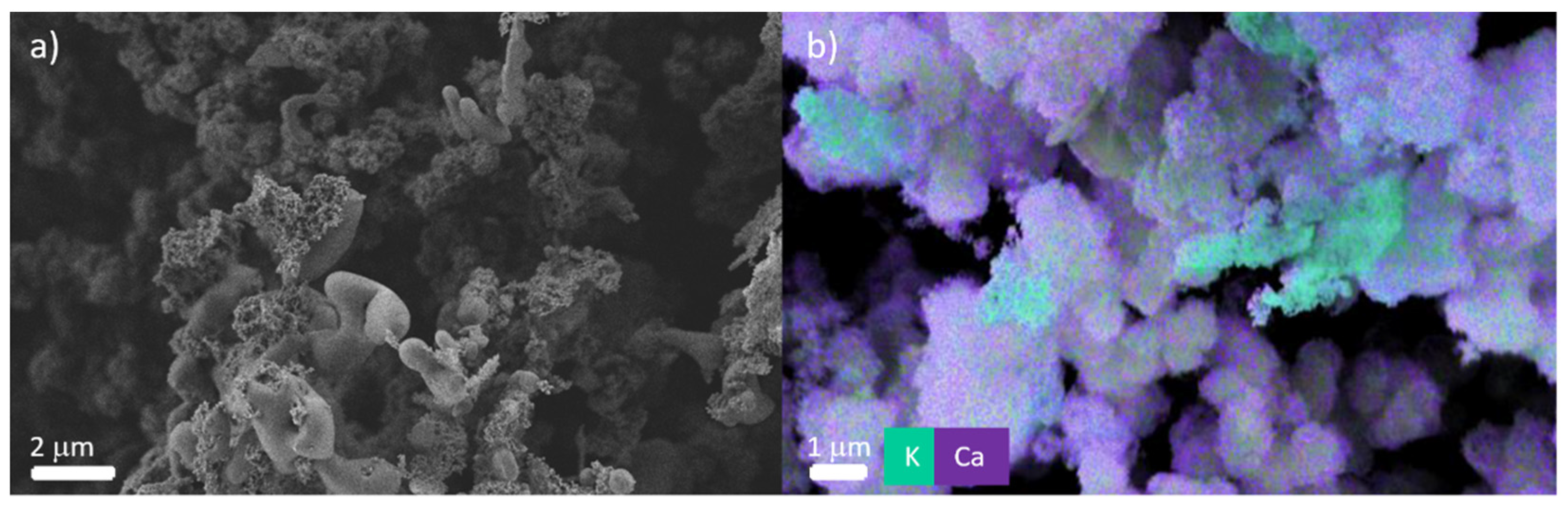 Polymers 13 03506 g011