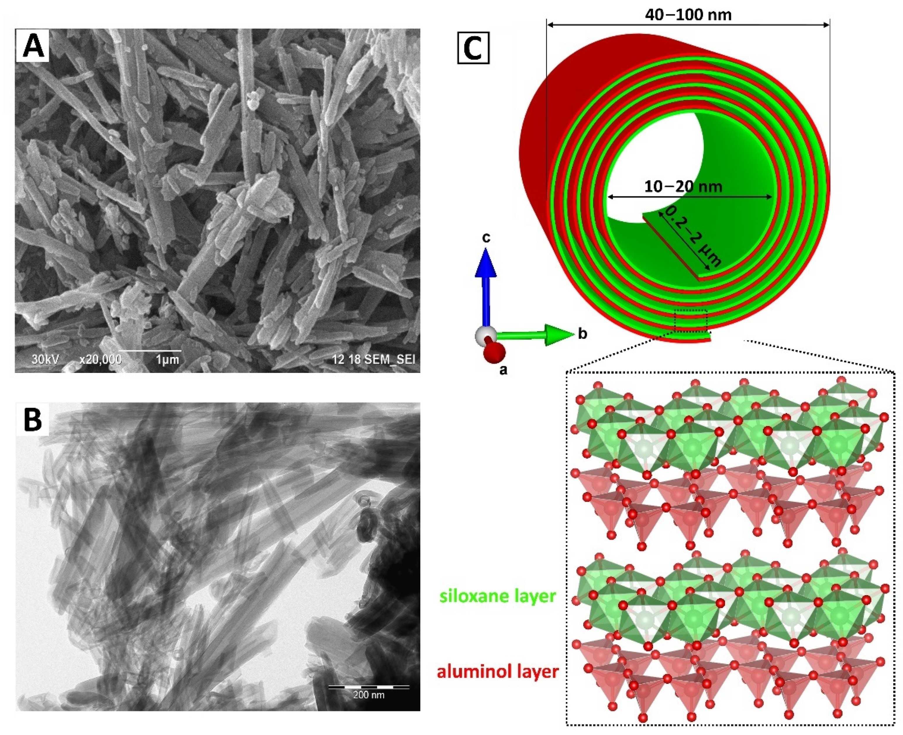 Polymers 13 03510 g001