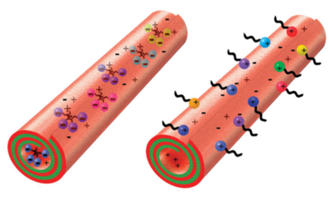 Polymers 13 03510 g002