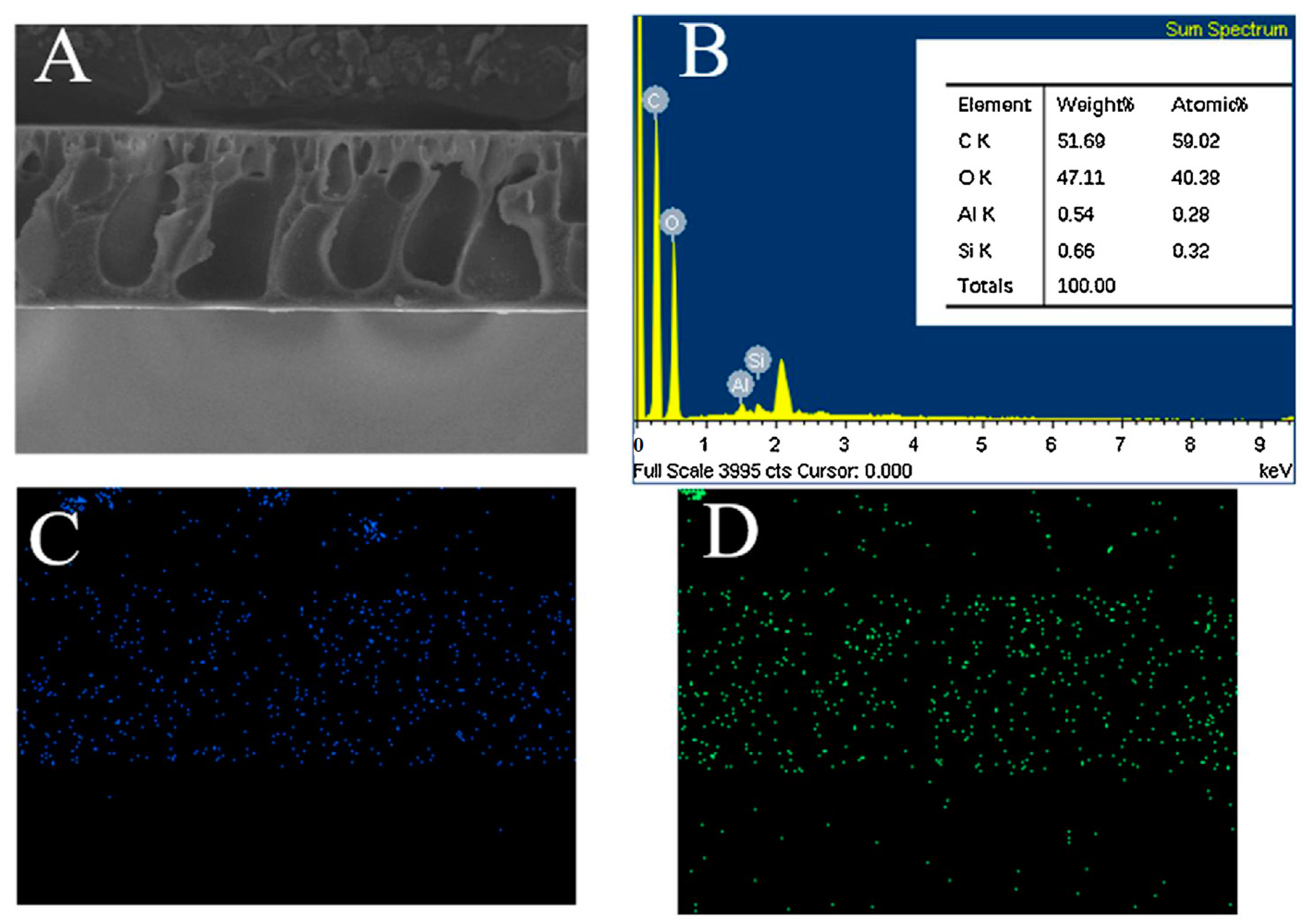 Polymers 13 03510 g005