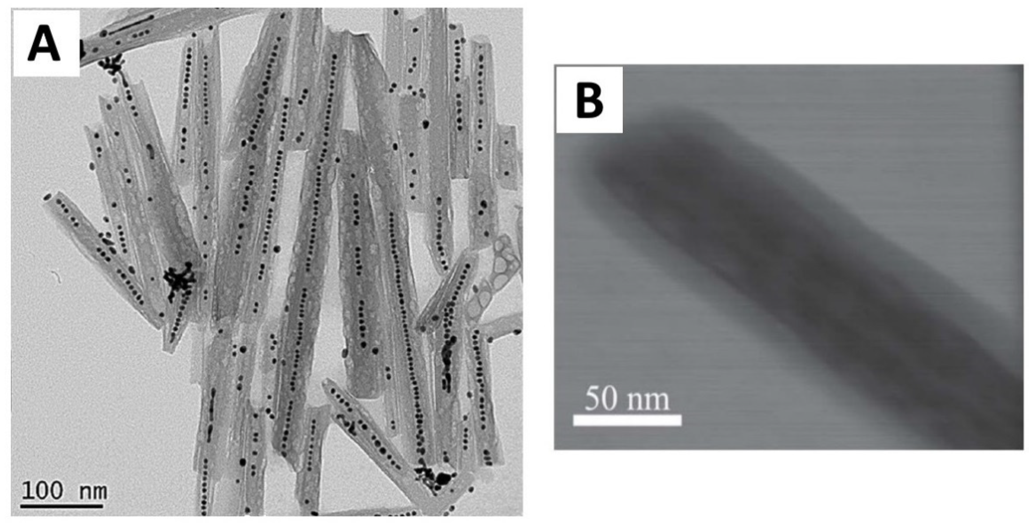 Polymers 13 03510 g007