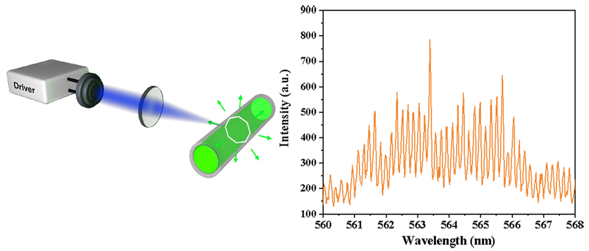 Polymers Free FullText Laser Diode Pumped Polymer Lasers with