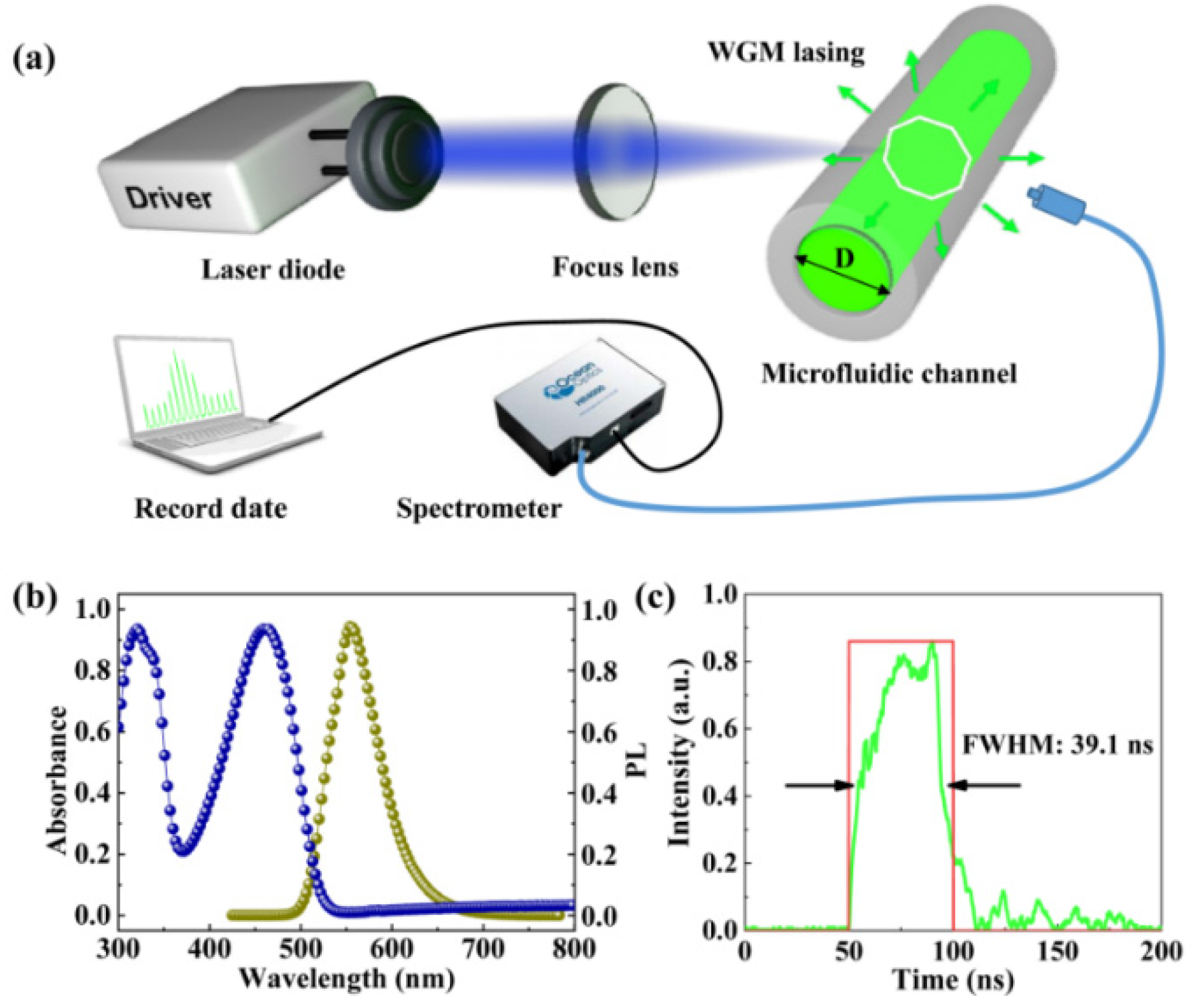 Polymers 13 03511 g001 550