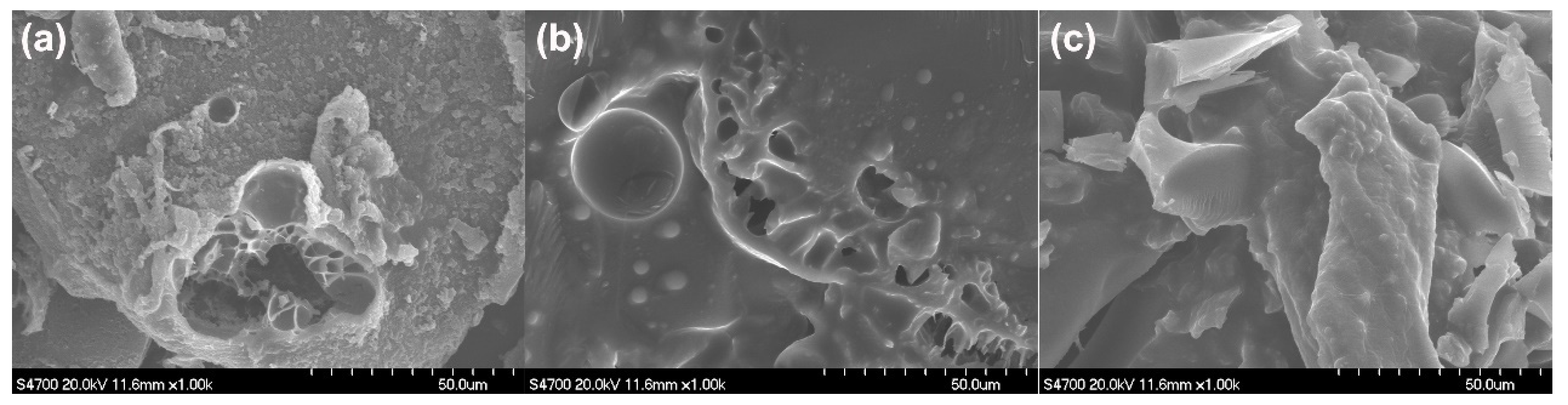 Polymers 13 03513 g008