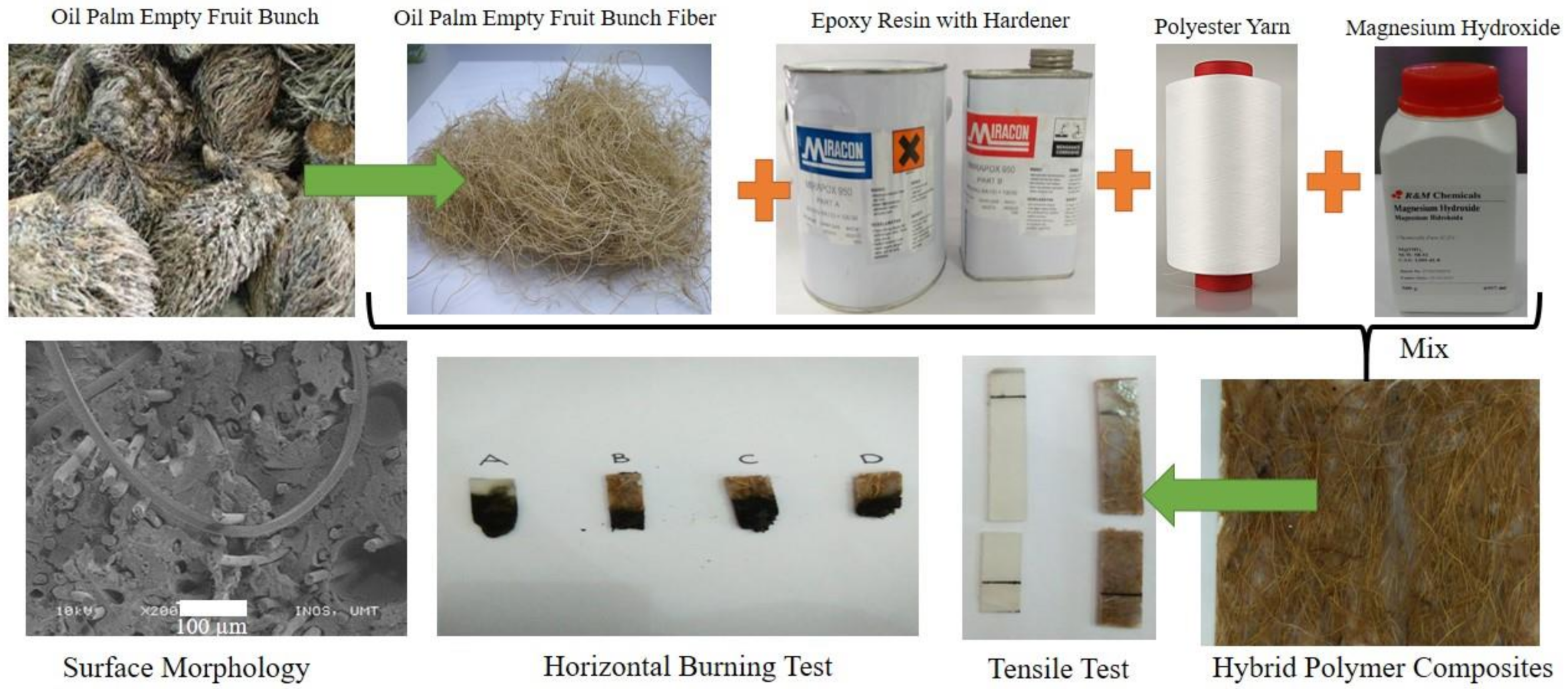 Polymers 13 03514 g005 Polymers 13 03514 g005