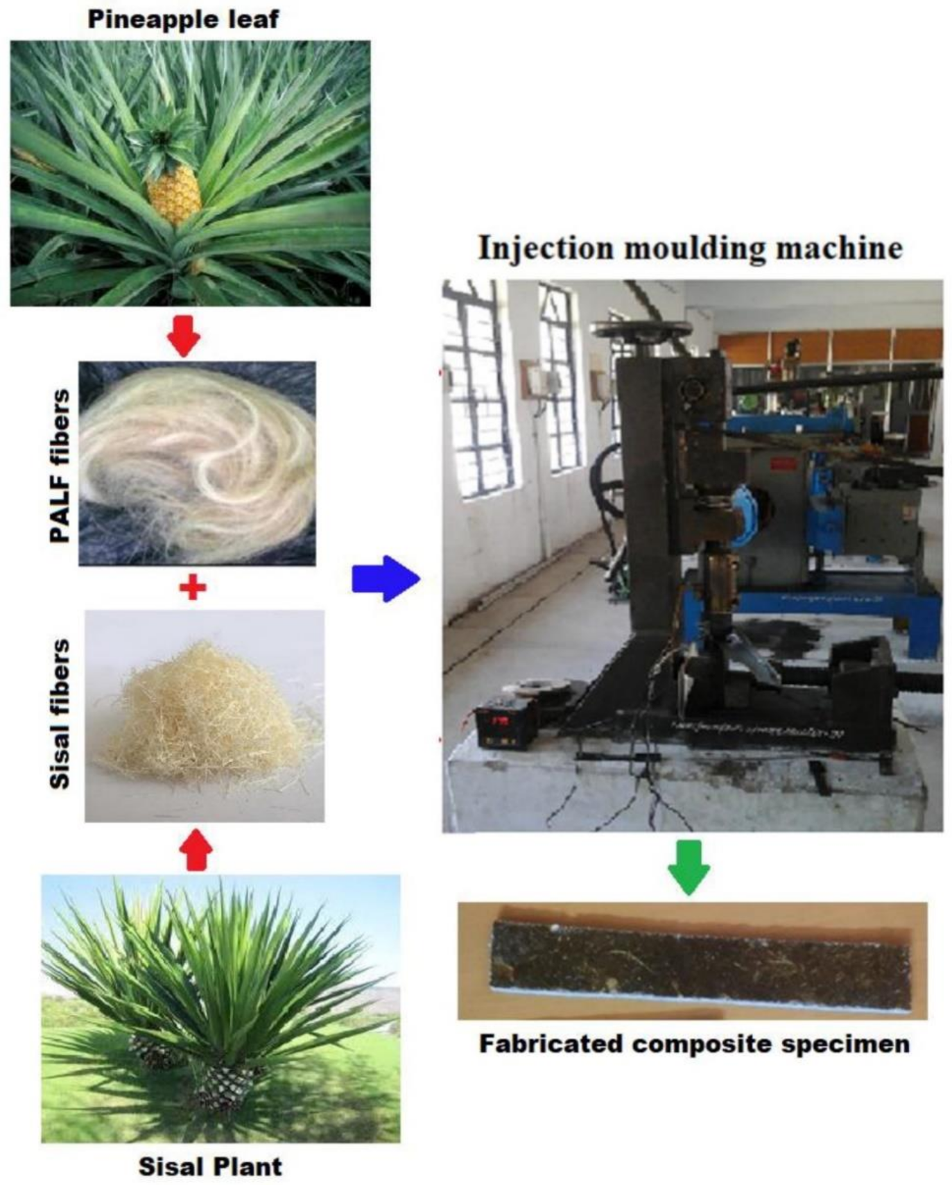 Polymers 13 03514 g006 Polymers 13 03514 g006