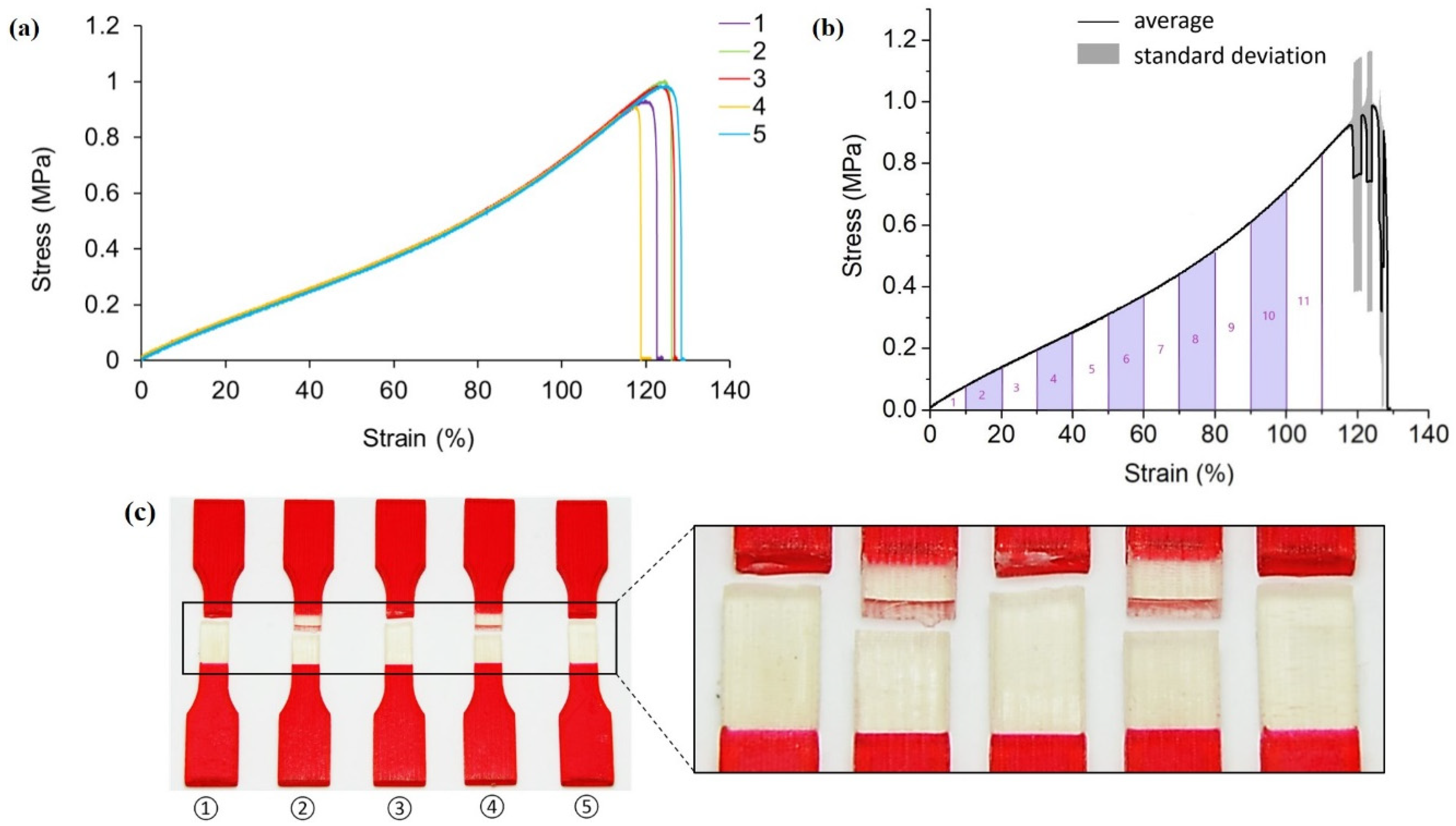 Polymers 13 03516 g004 Polymers 13 03516 g004