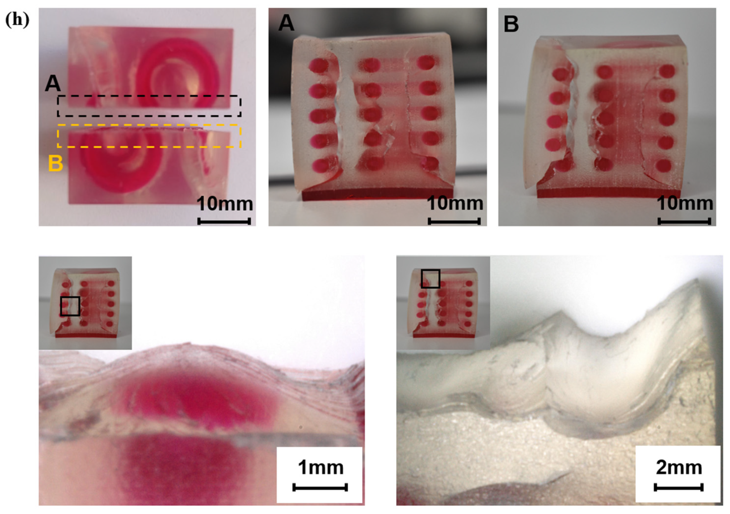 Polymers 13 03516 g012b Polymers 13 03516 g012b