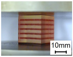 Polymers 13 03516 i004 Polymers 13 03516 i004