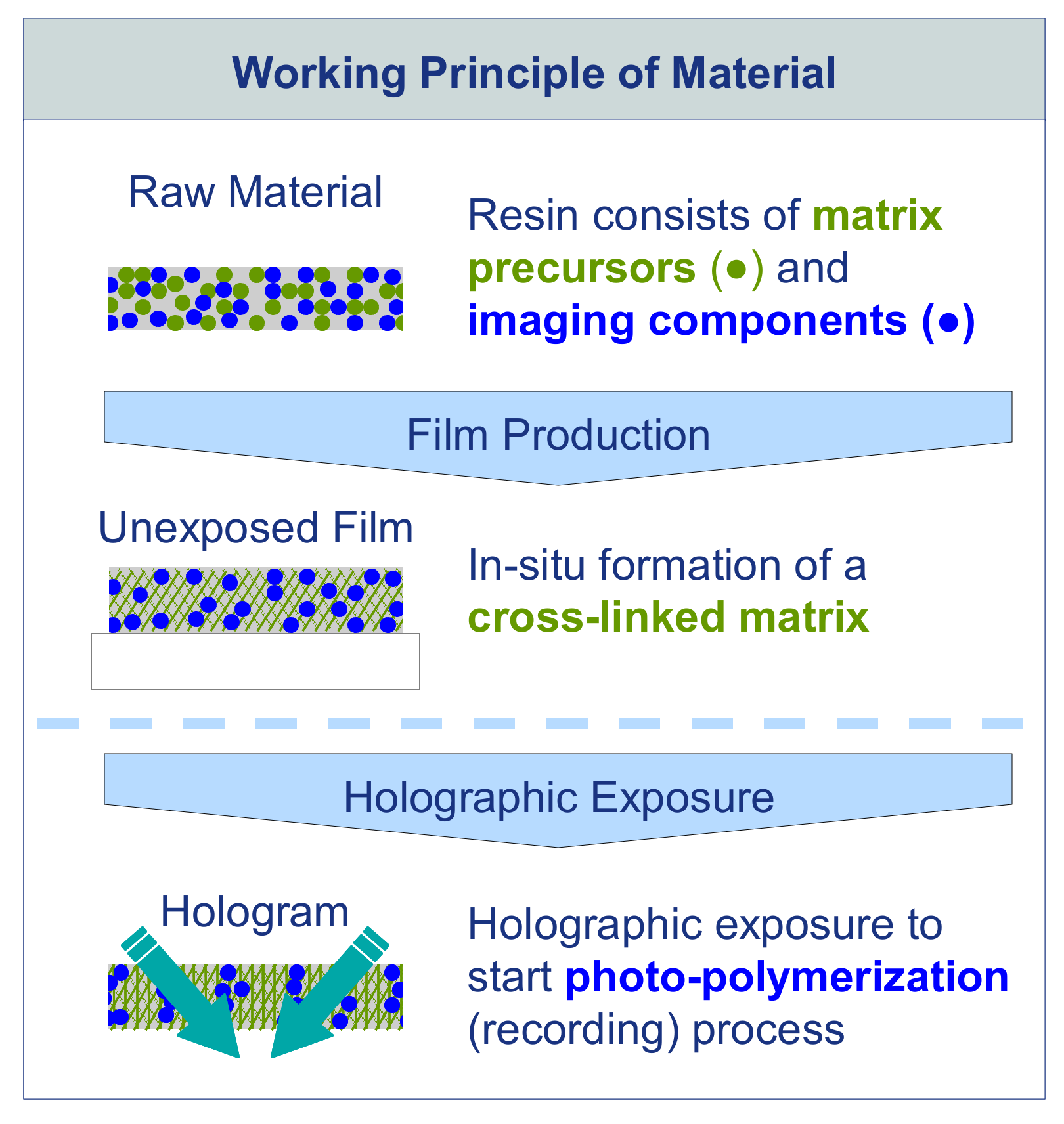 Polymers 13 03517 g001 550