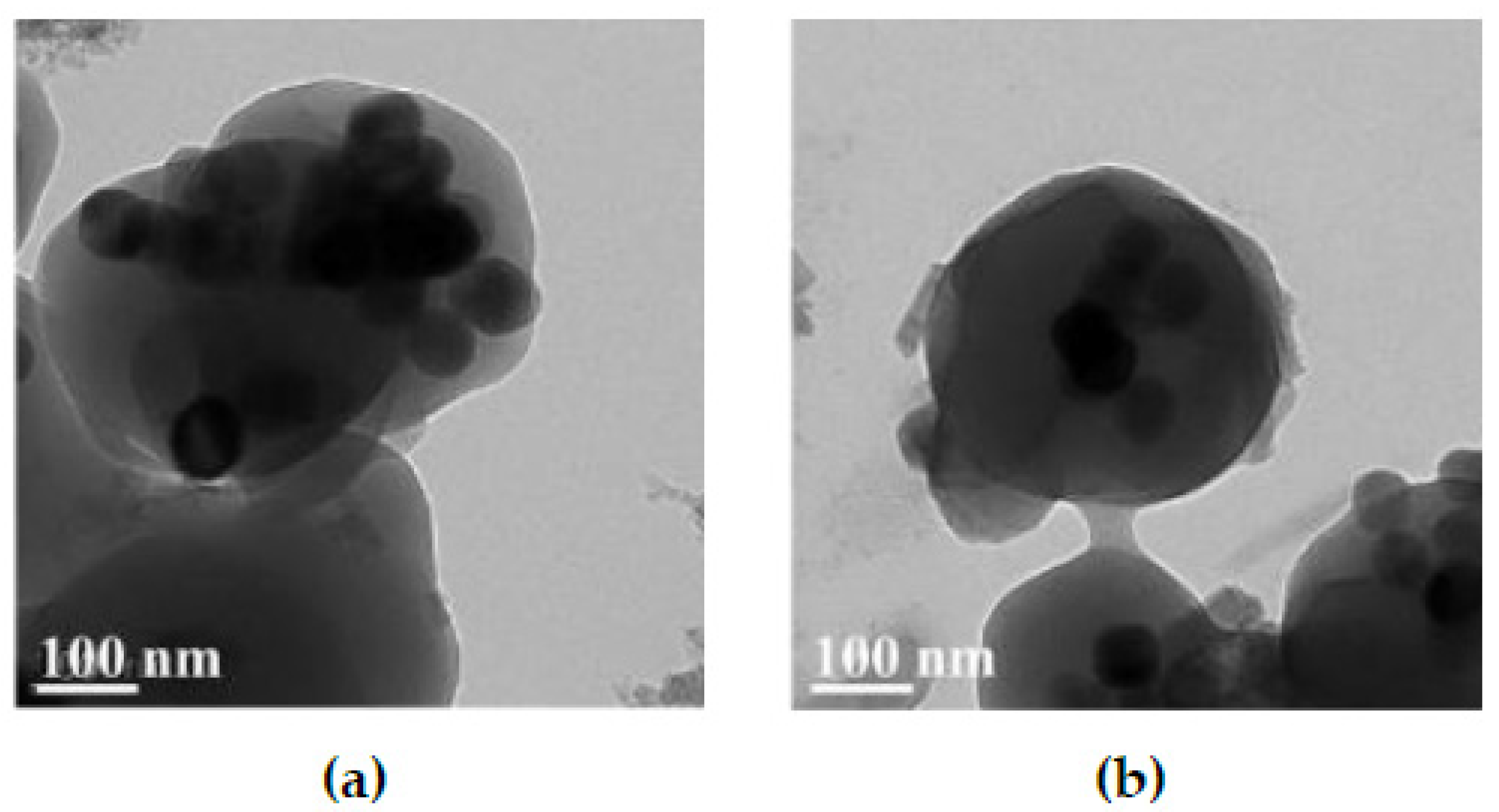 Polymers 13 03522 g003