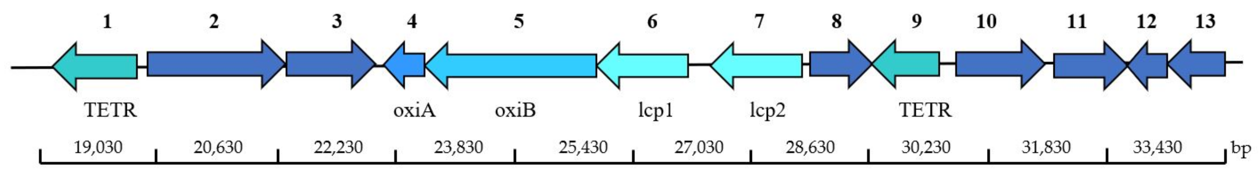 Polymers 13 03524 g003 Polymers 13 03524 g003
