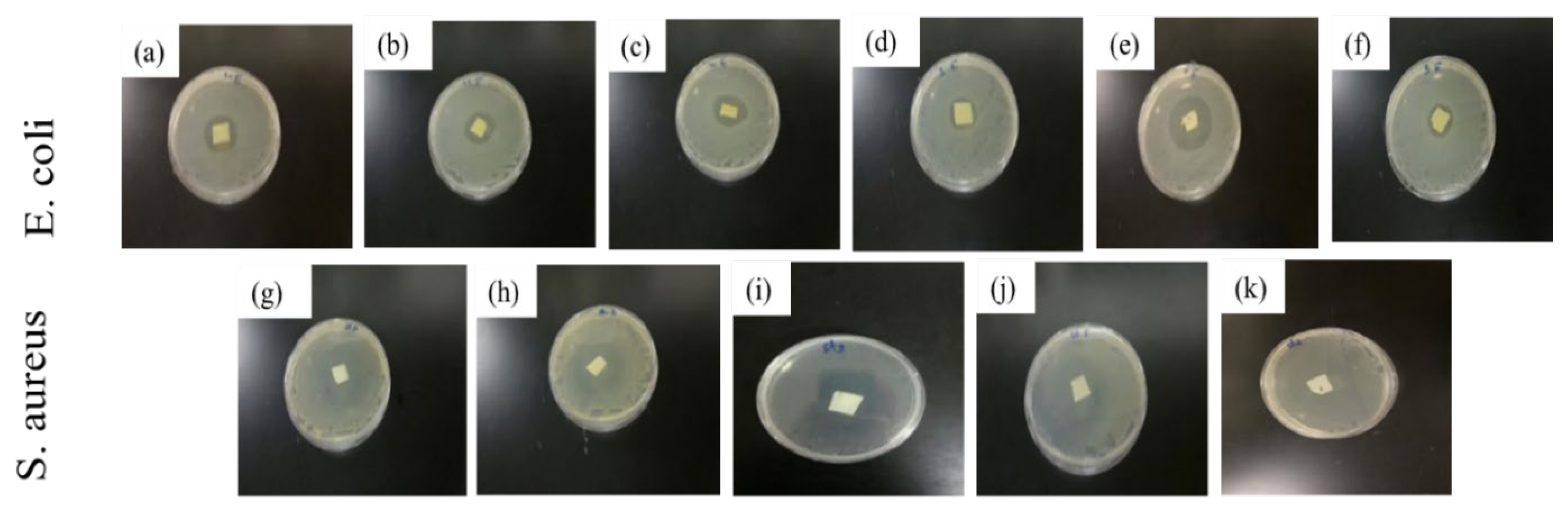 Polymers 13 03527 g006 550