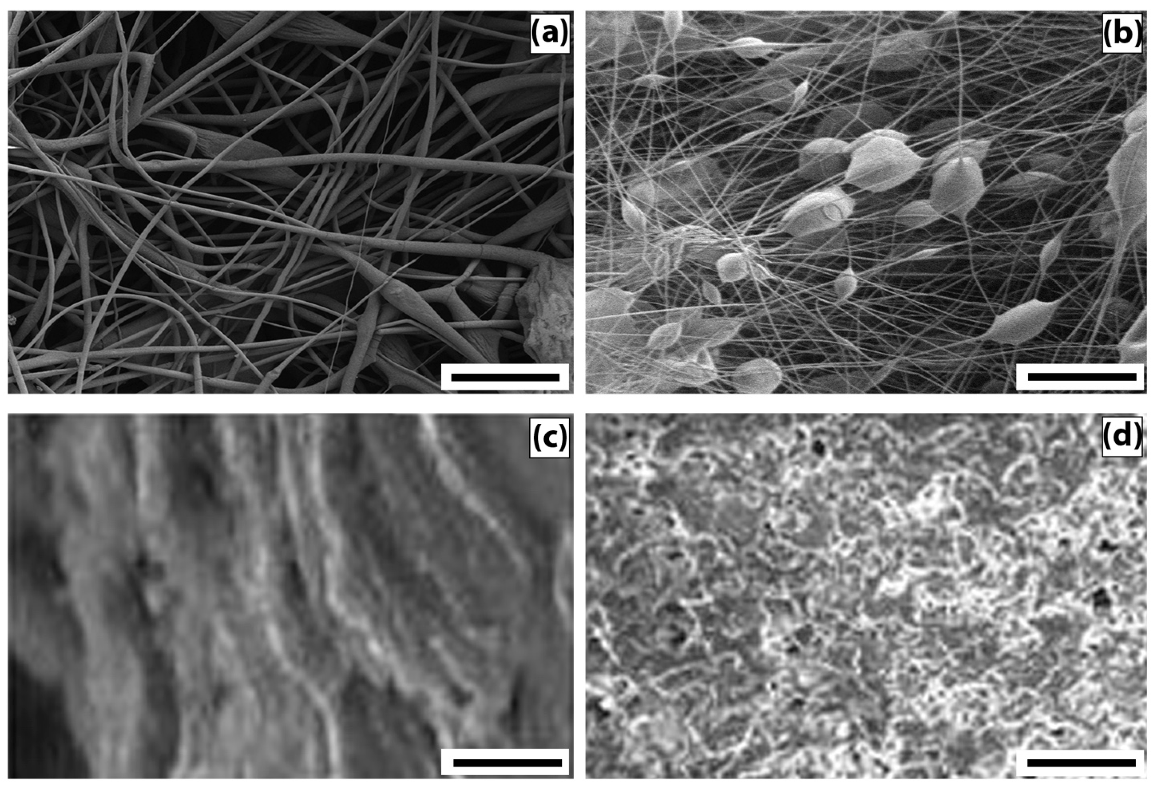 Polymers 13 03528 g001