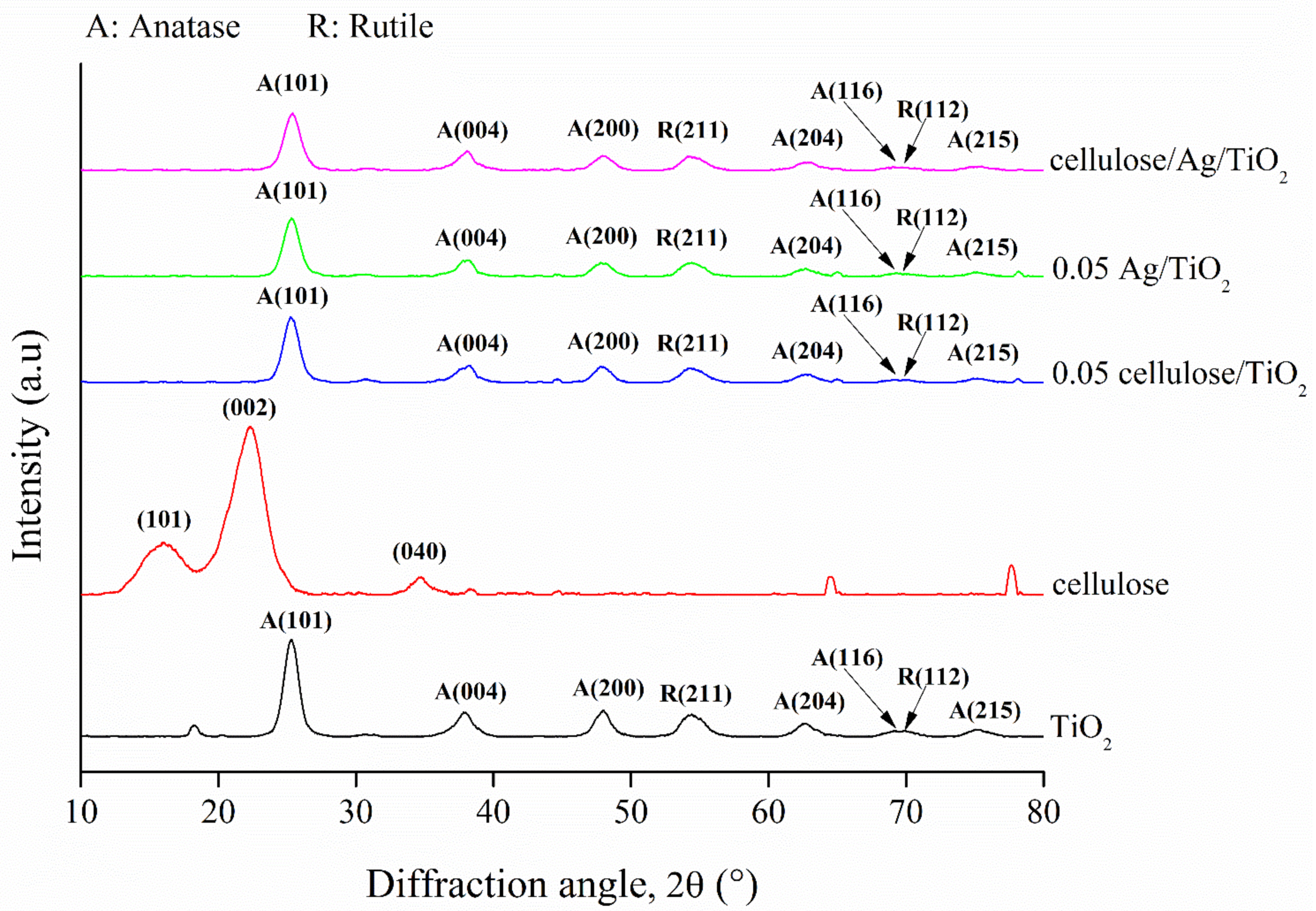 Polymers 13 03530 g002