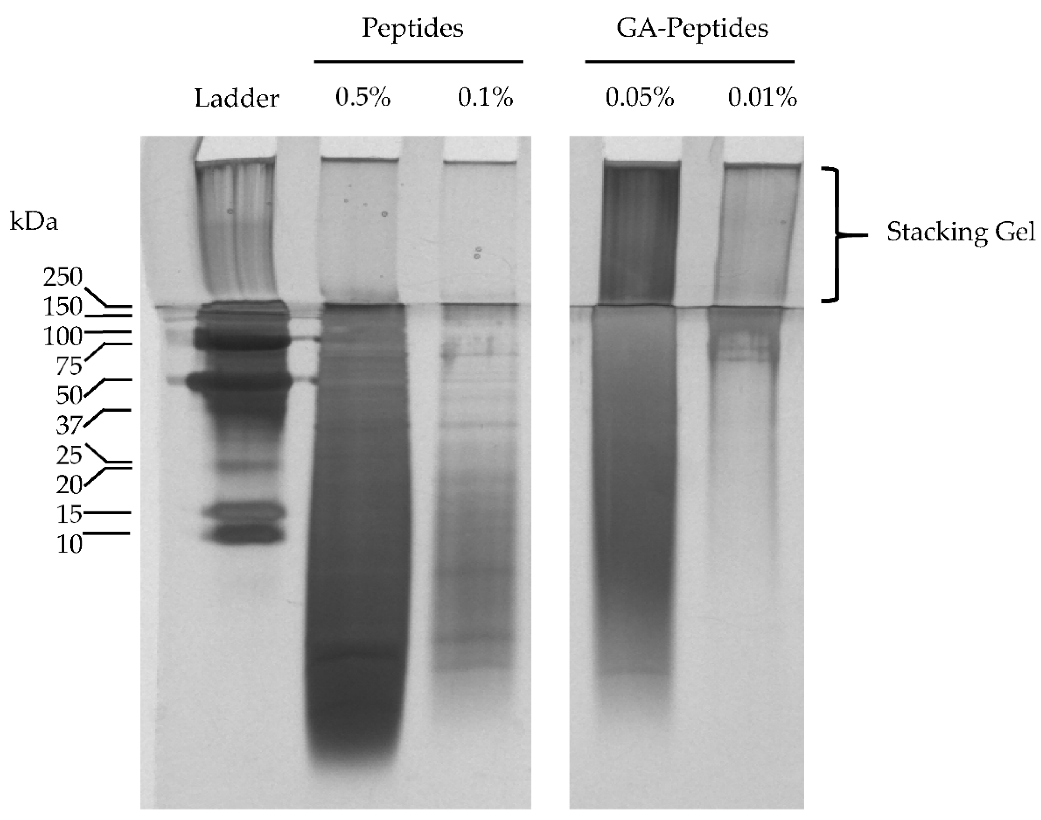 Polymers 13 03533 g005 550