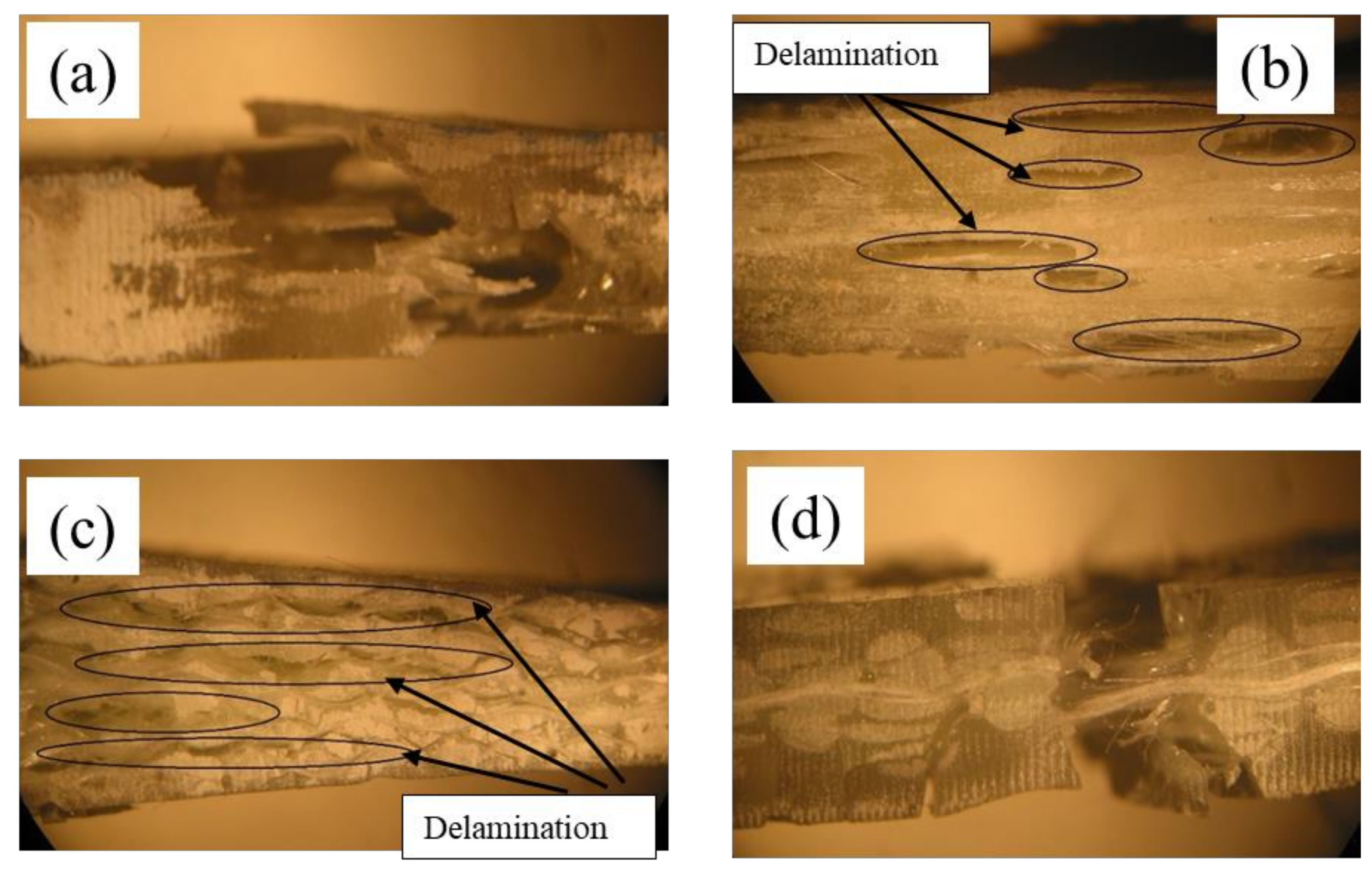 Polymers 13 03535 g010 550