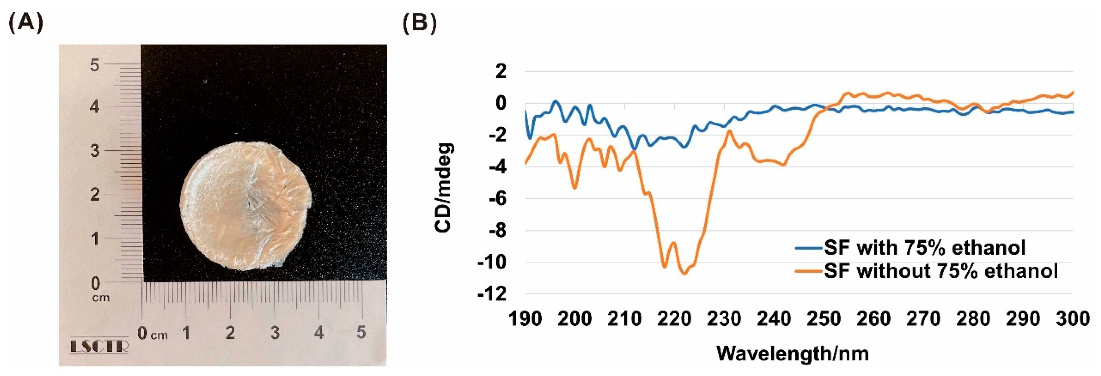 Polymers 13 03537 g001