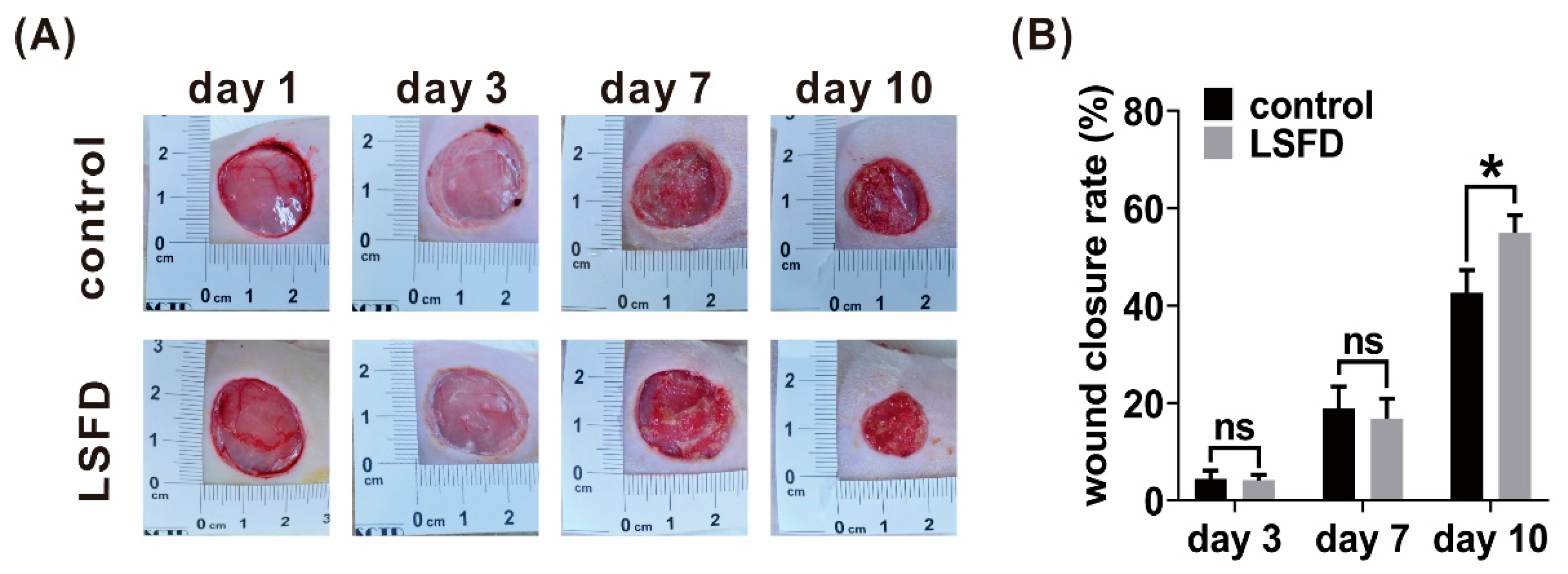 Polymers 13 03537 g002