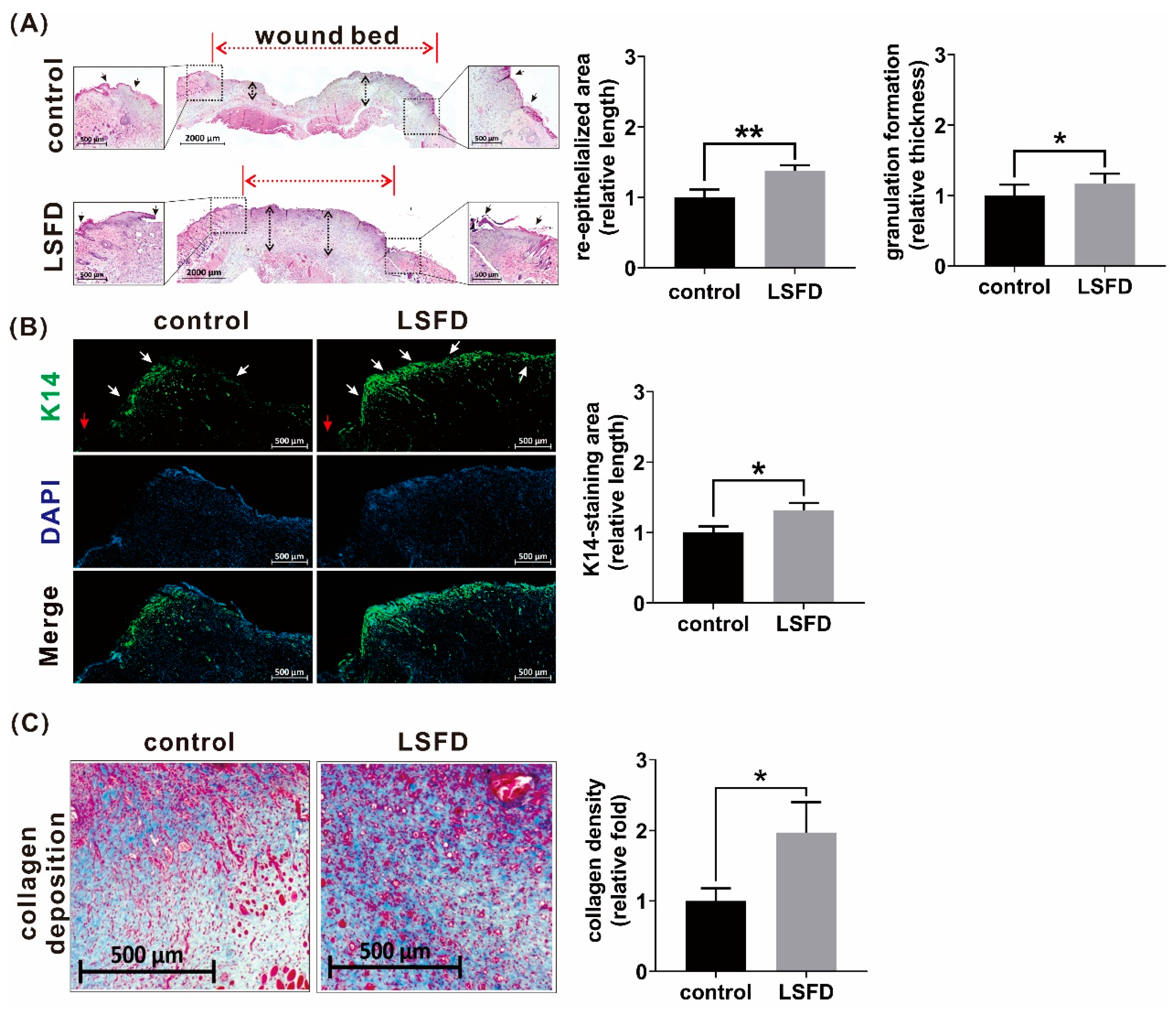 Polymers 13 03537 g003