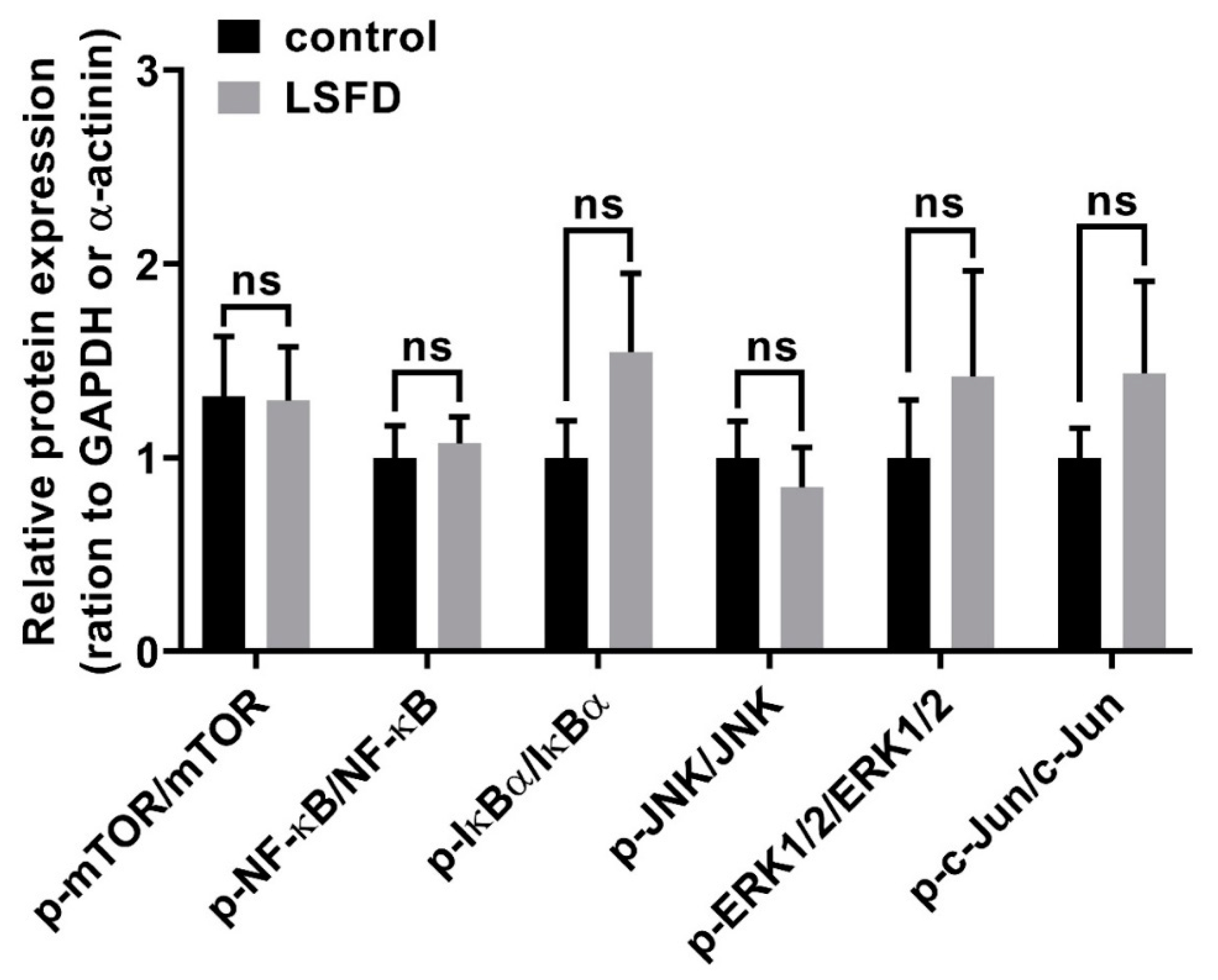 Polymers 13 03537 g006