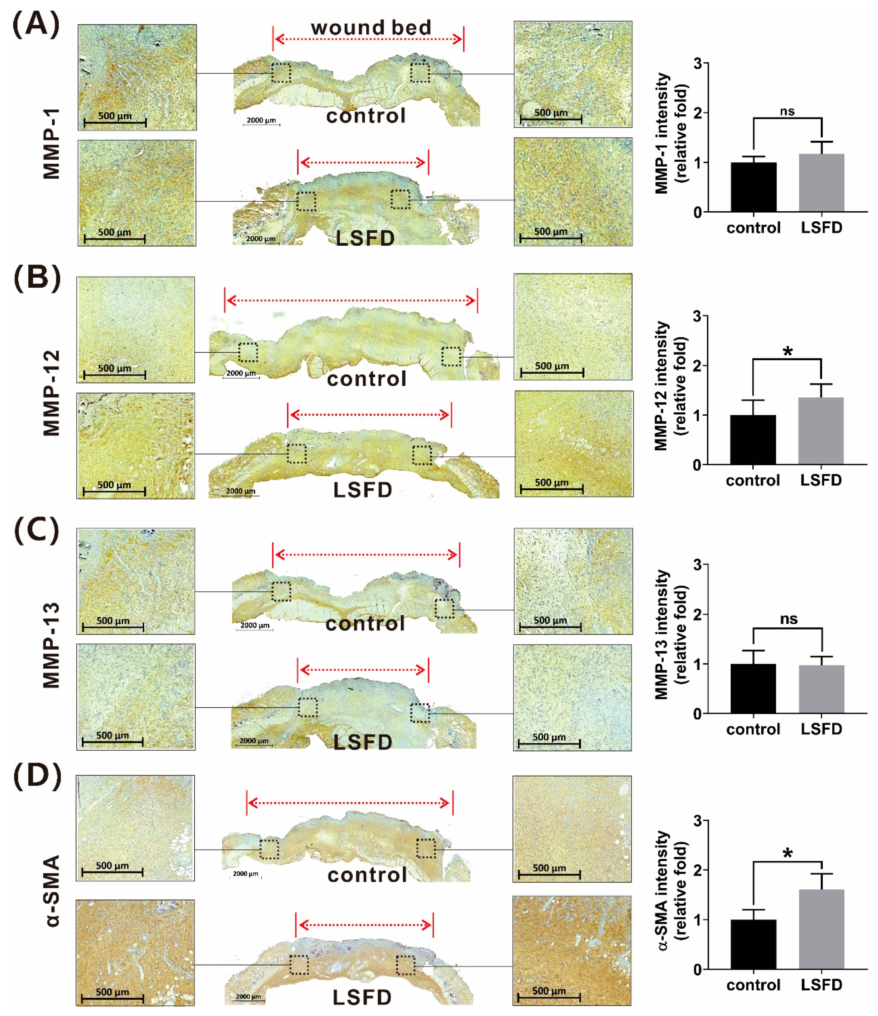 Polymers 13 03537 g008
