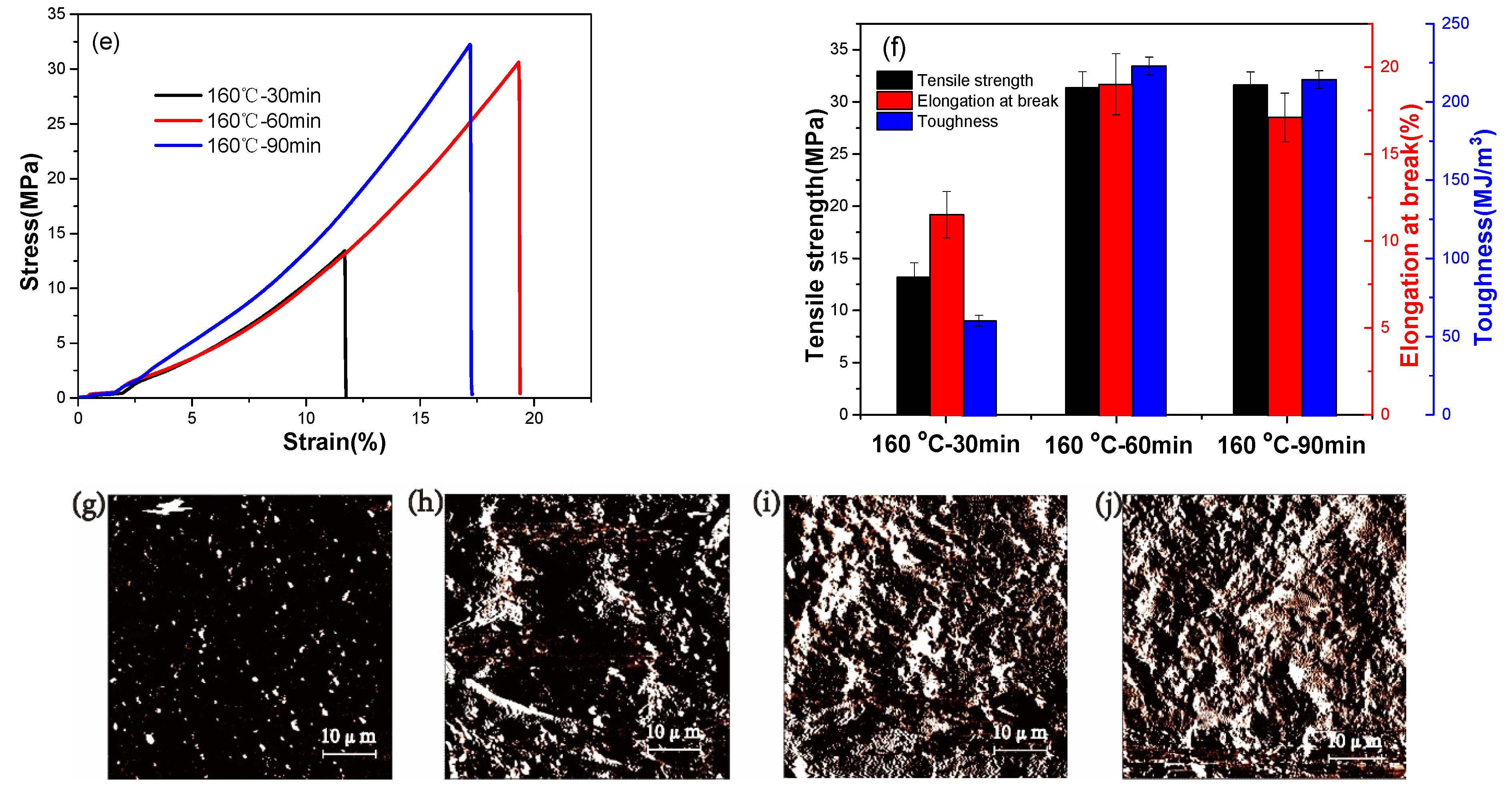 Polymers 13 03538 g009b