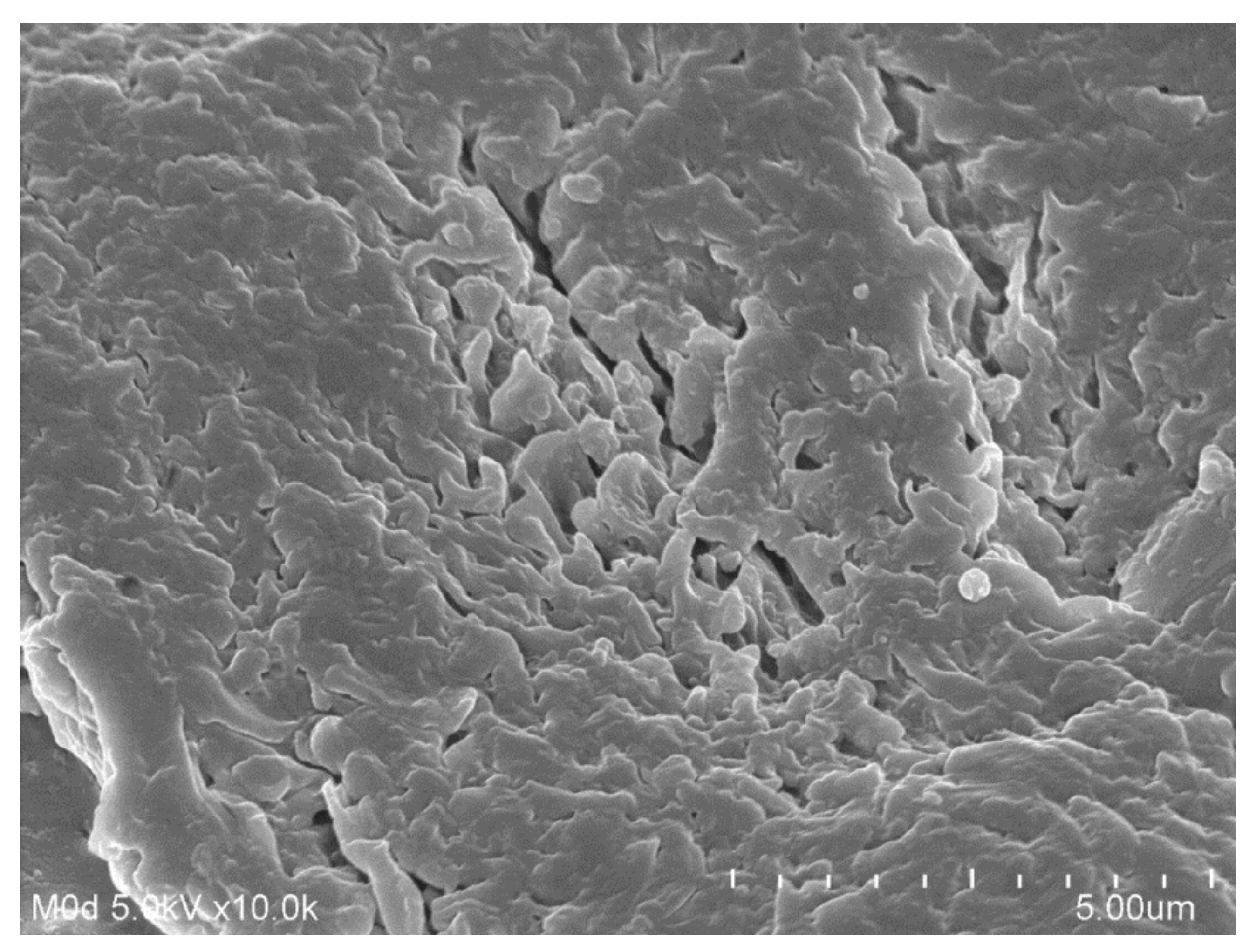Polymers 13 03541 g005