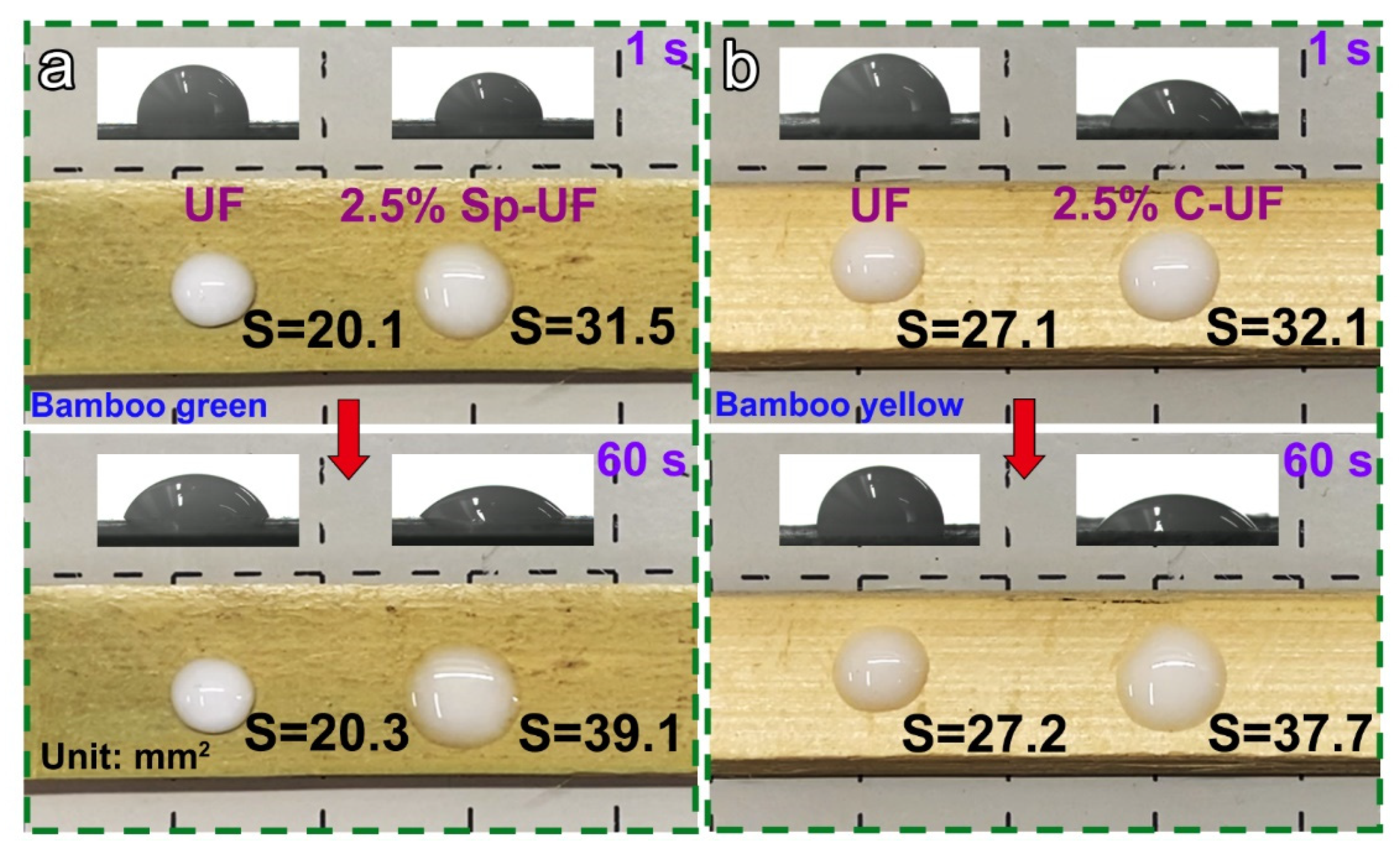Polymers 13 03542 g004 550