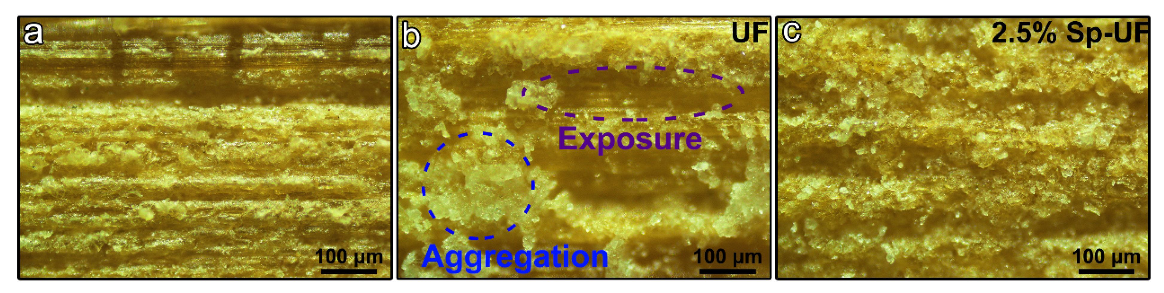 Polymers 13 03542 g008 550