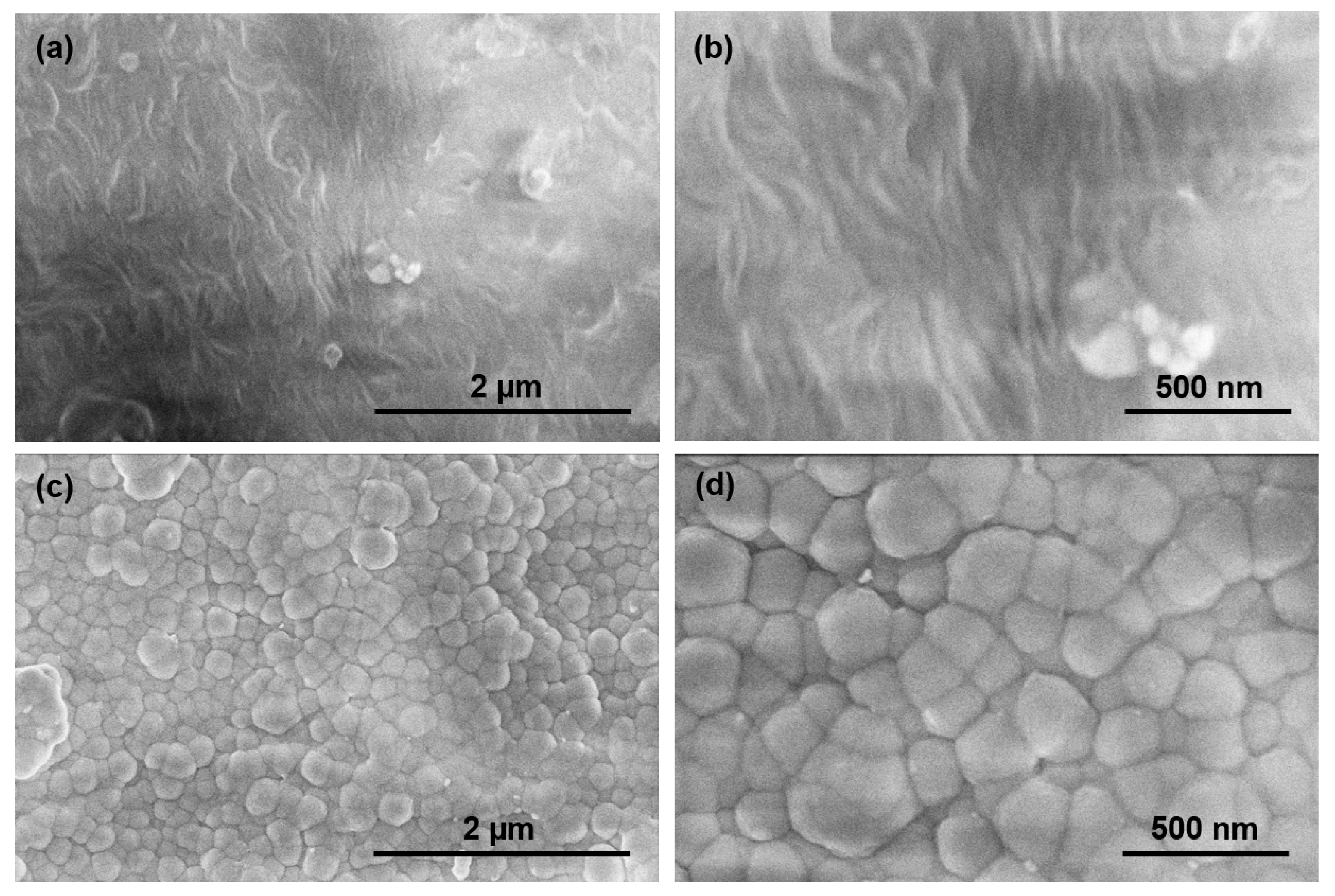 Polymers 13 03543 g003 550