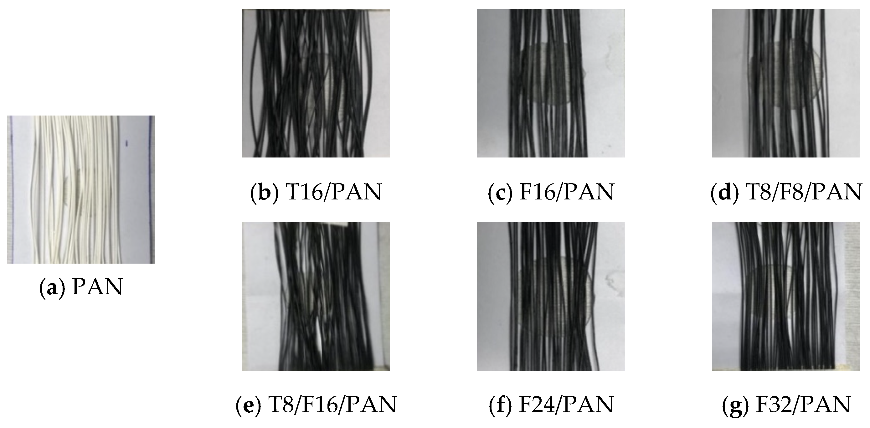 Polymers 13 03544 g002 550
