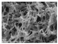Polymers 13 03544 i023