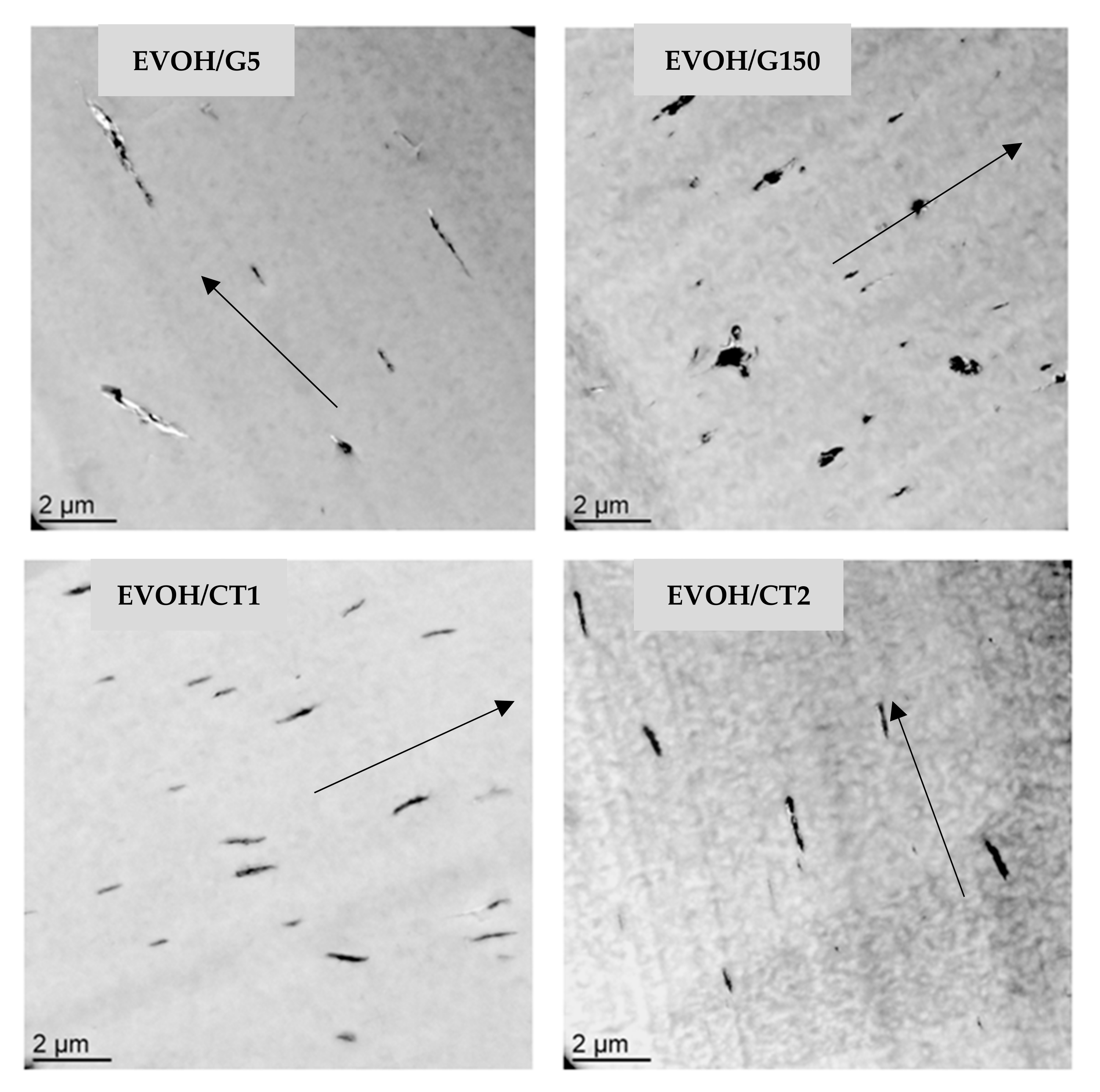 Polymers 13 03546 g001 550