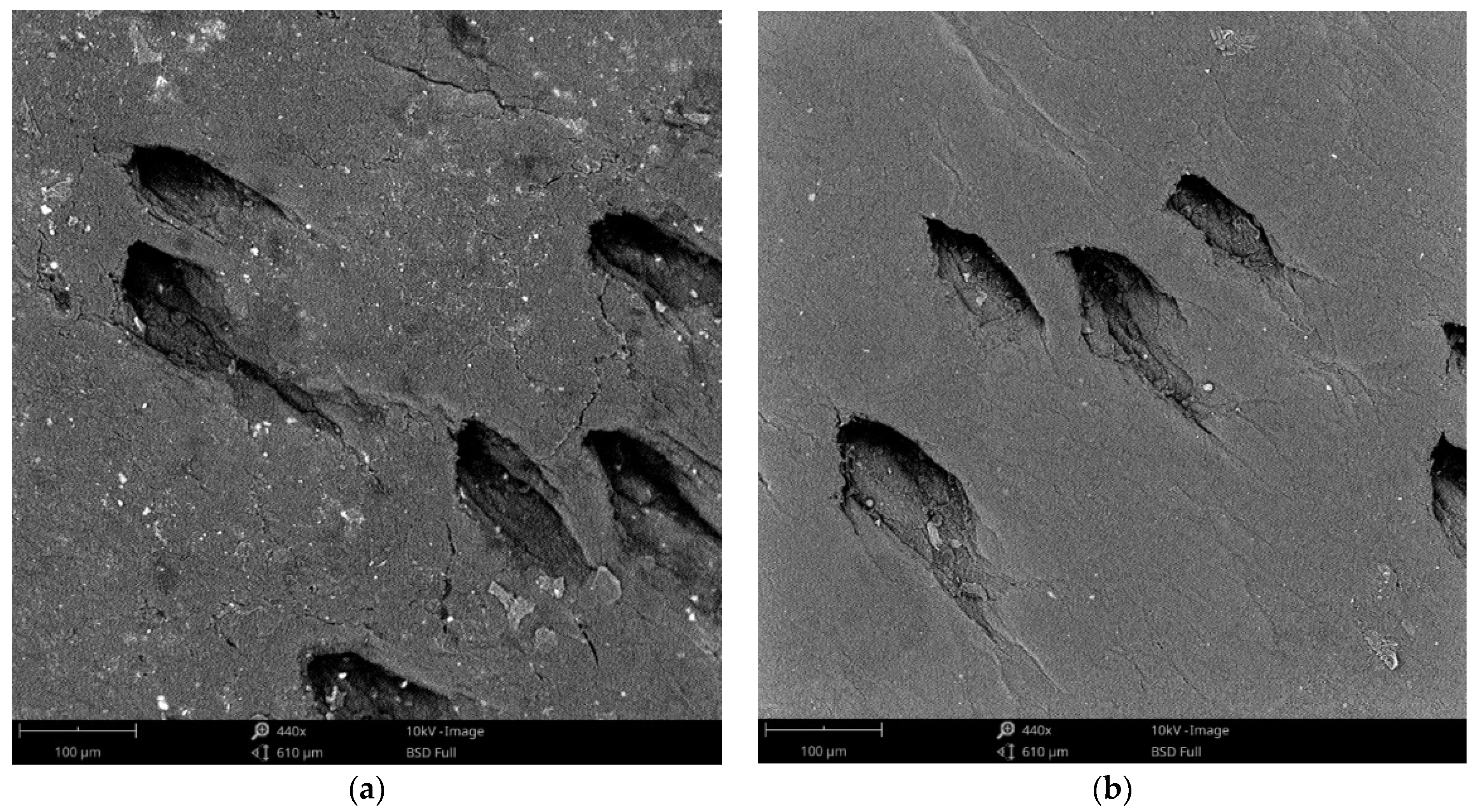 Polymers 13 03549 g005