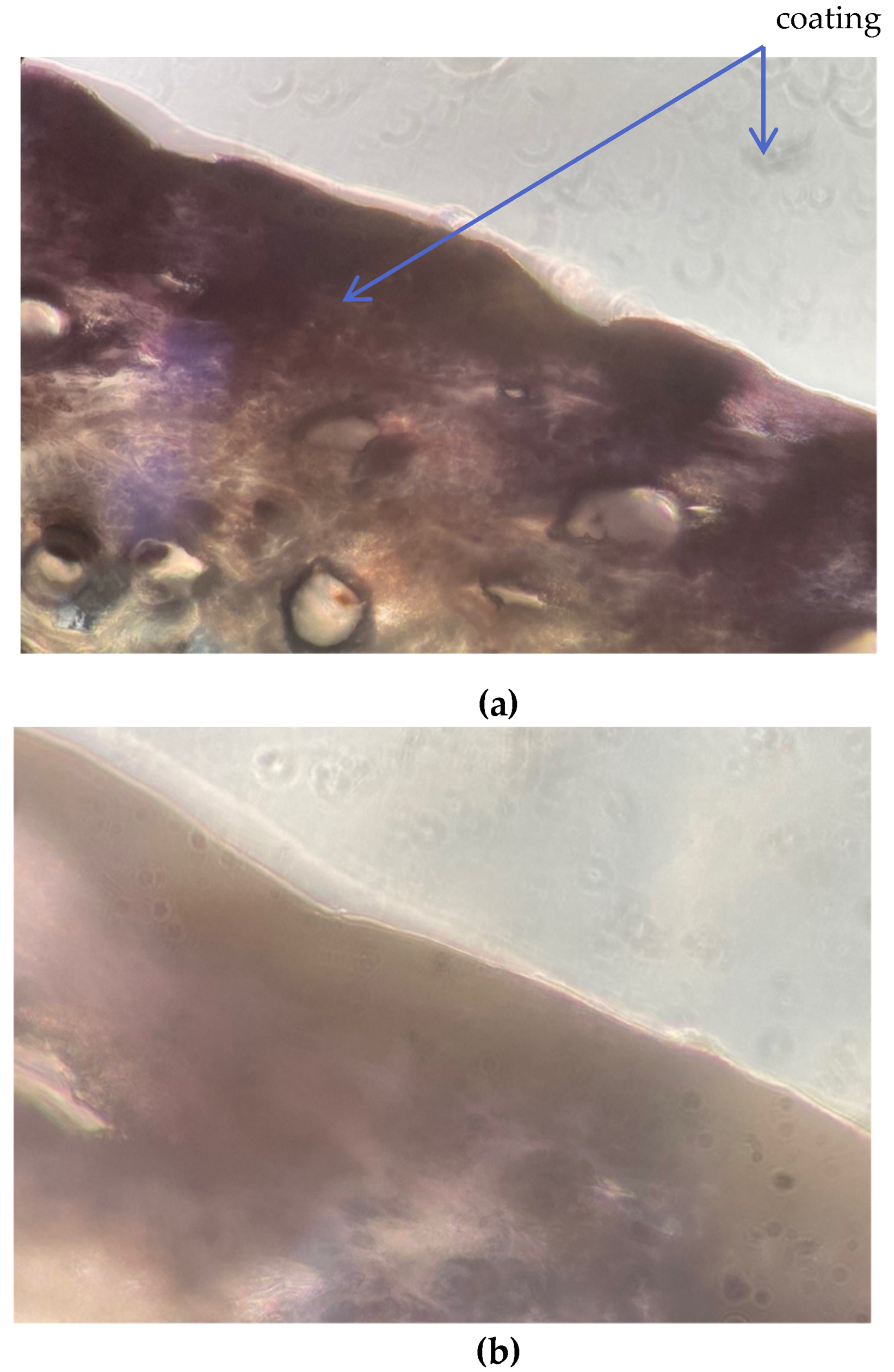 Polymers 13 03549 g008