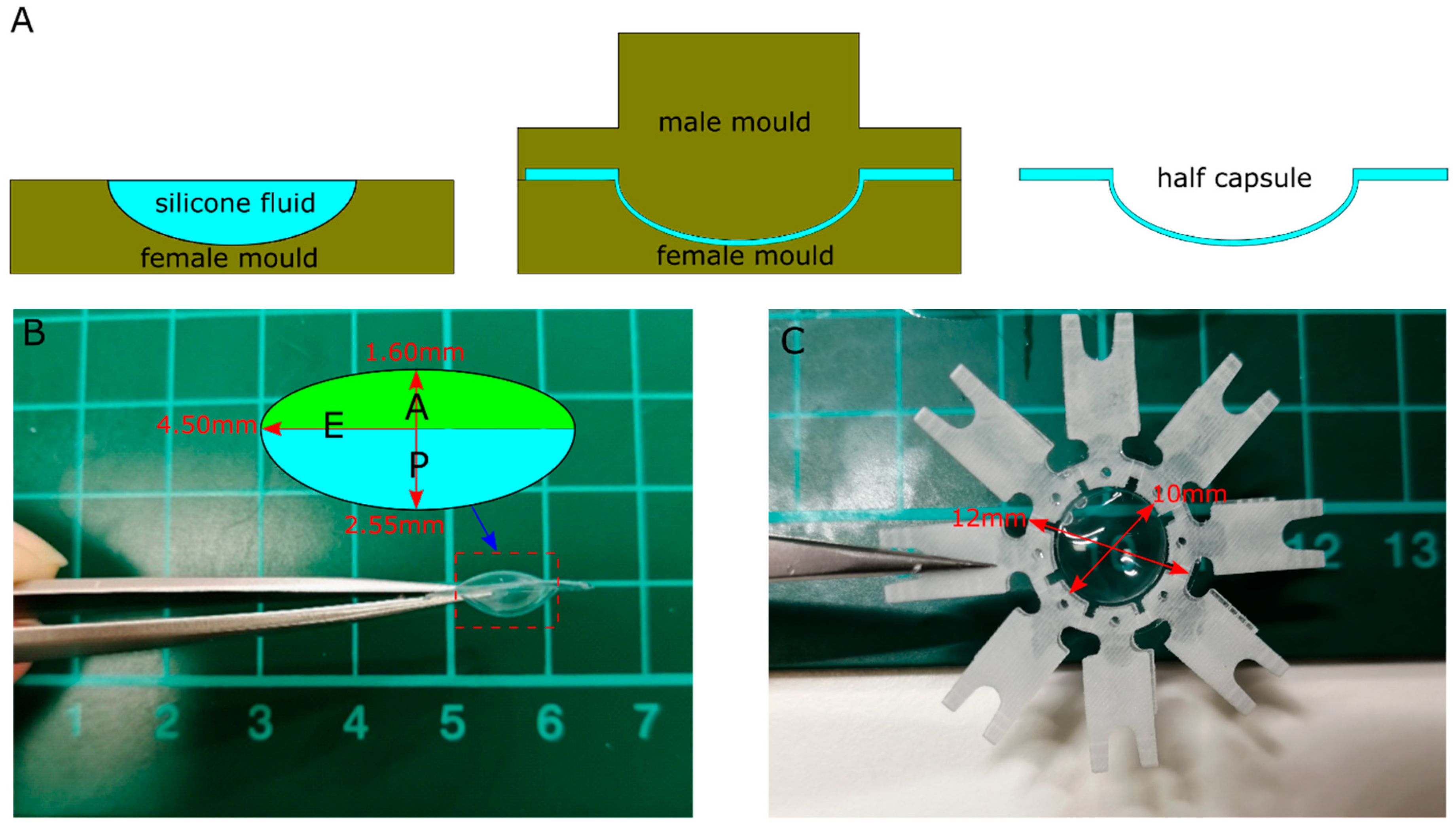 Polymers 13 03552 g002 Polymers 13 03552 g002