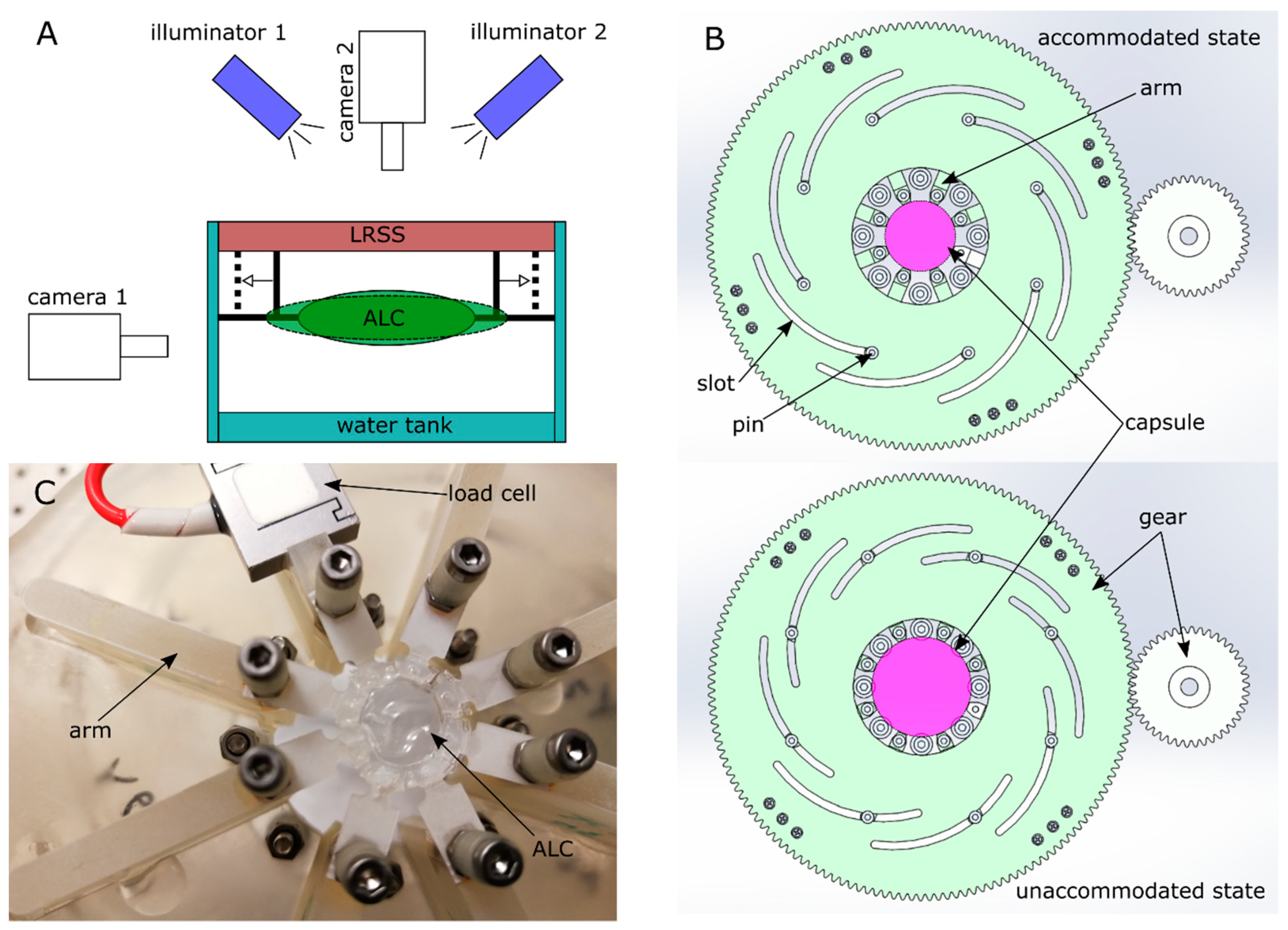 Polymers 13 03552 g003 Polymers 13 03552 g003