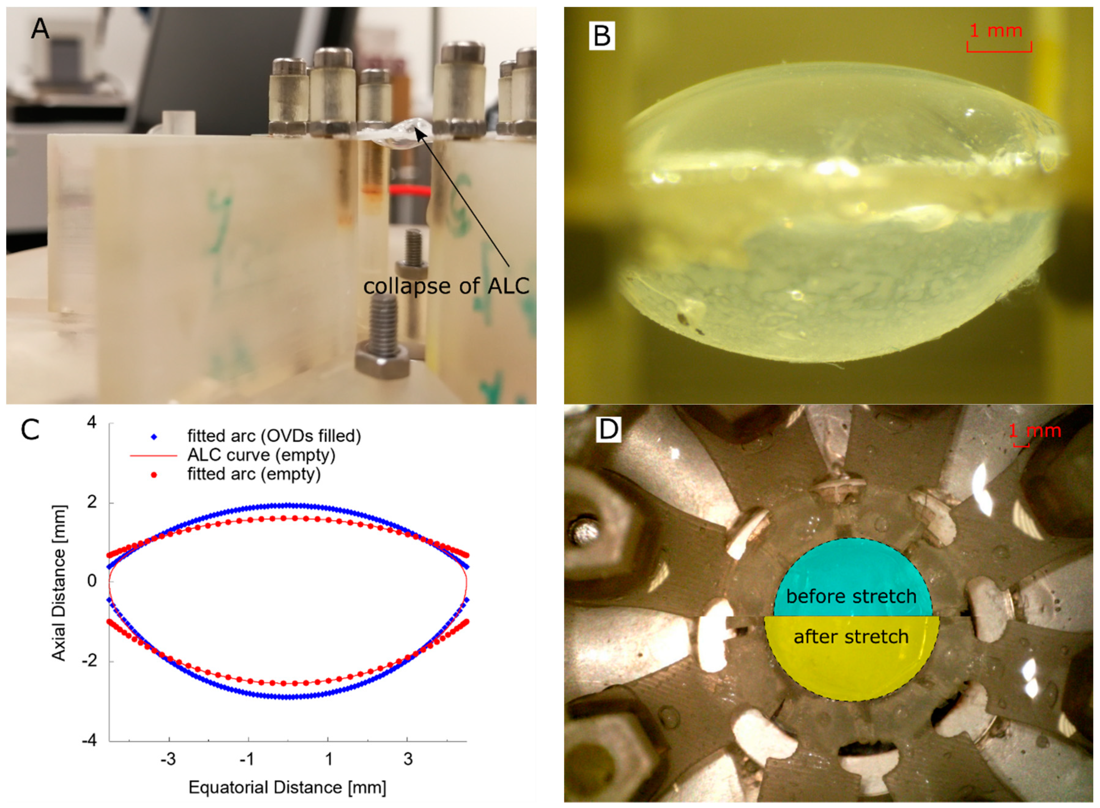 Polymers 13 03552 g004 Polymers 13 03552 g004