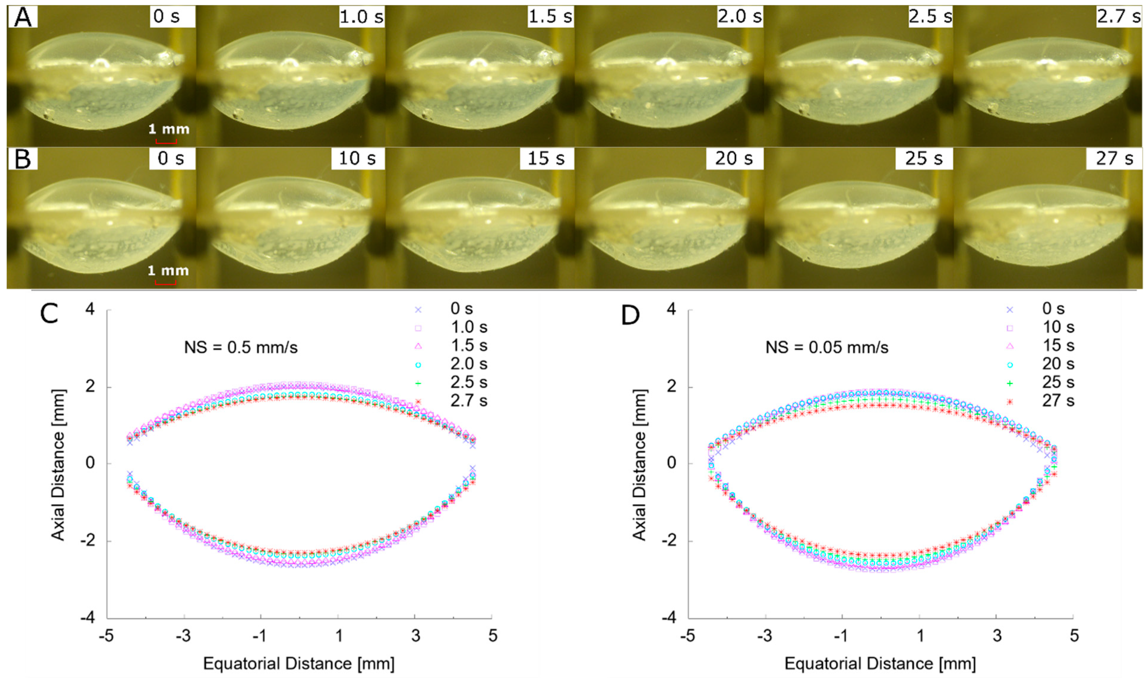 Polymers 13 03552 g006 Polymers 13 03552 g006