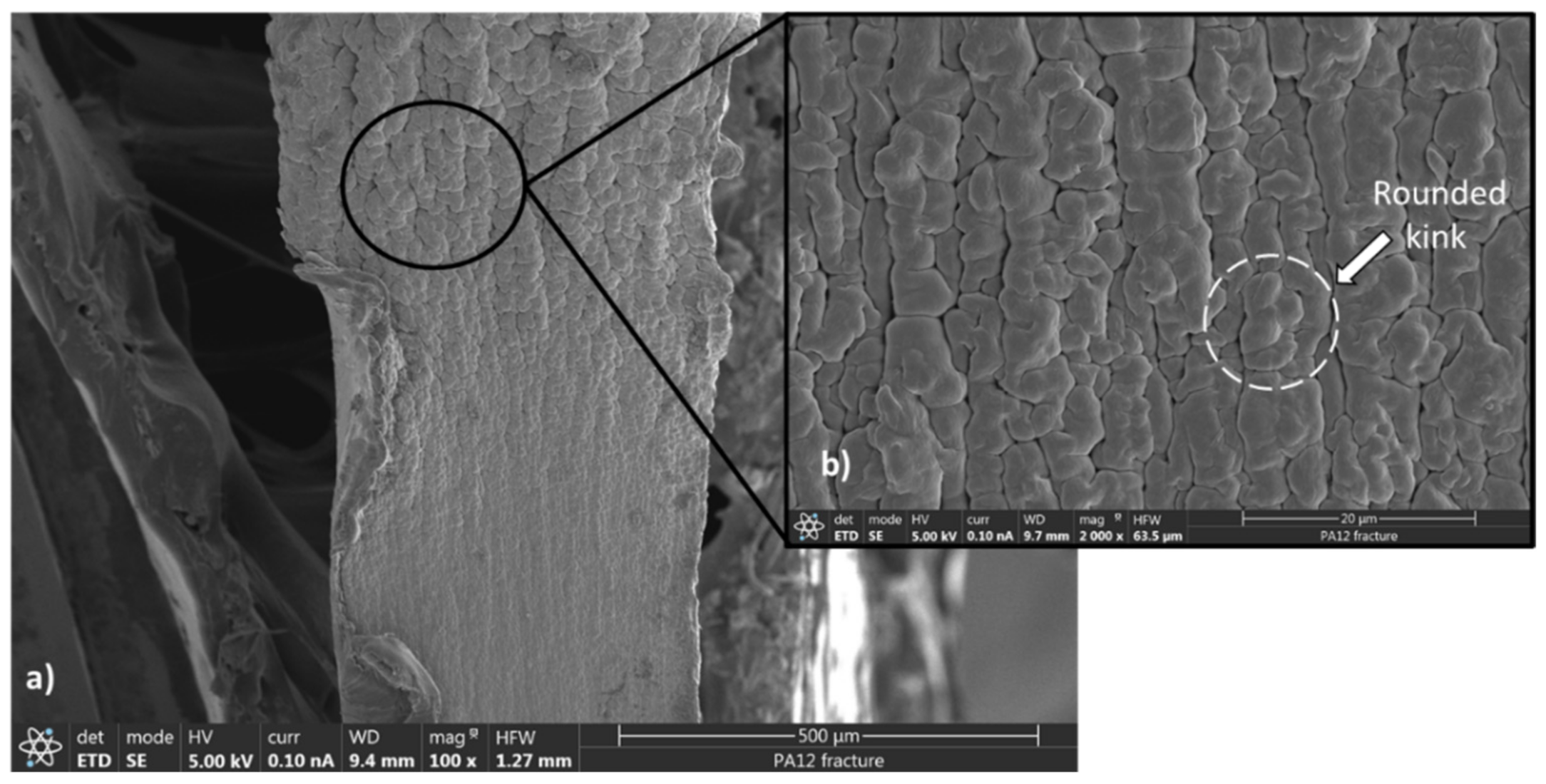 Polymers 13 03553 g007 550