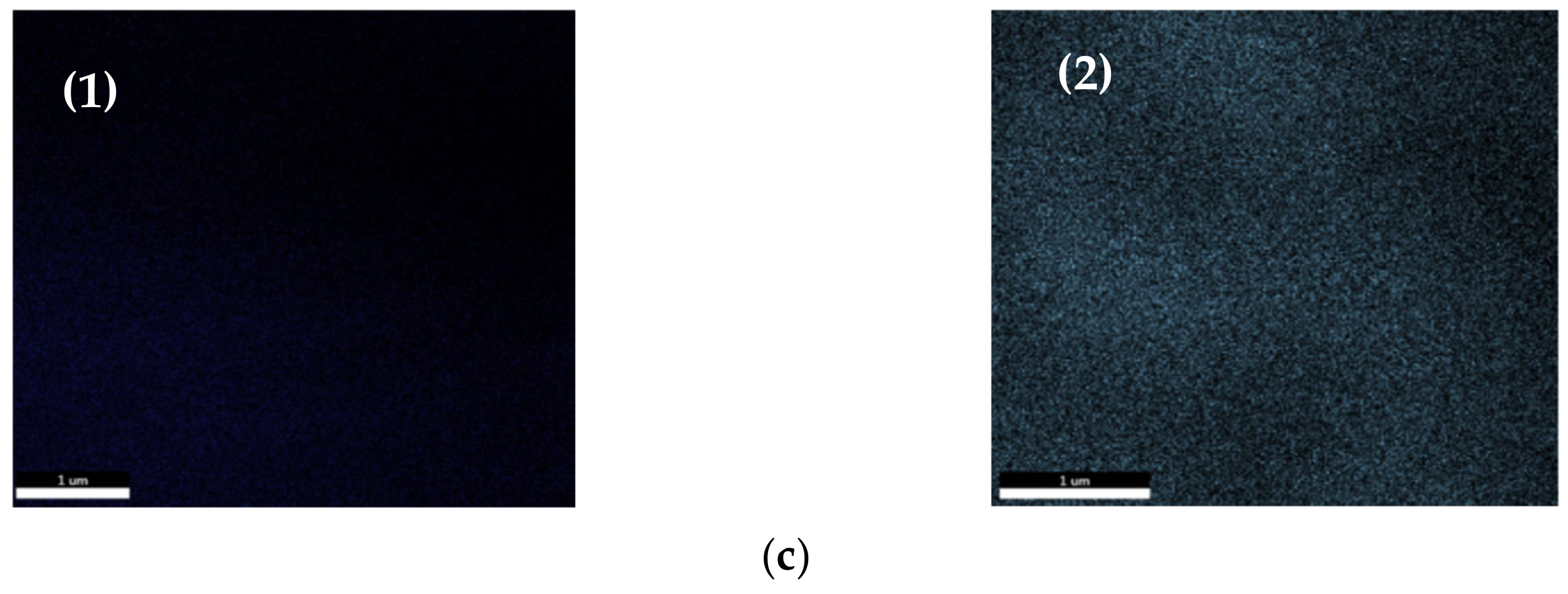 Polymers 13 03554 g001b